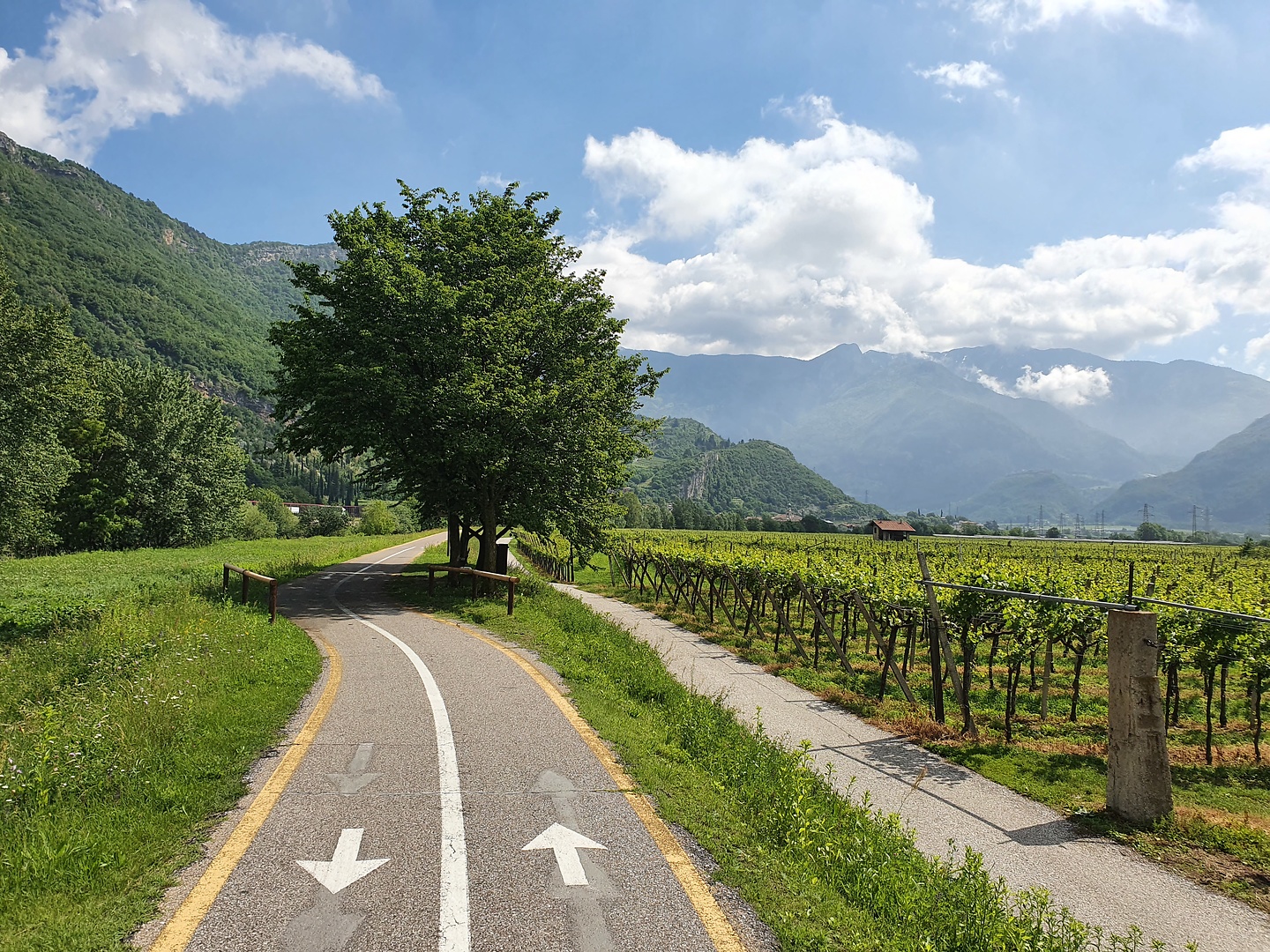 besenello-cyclepath2.jpg