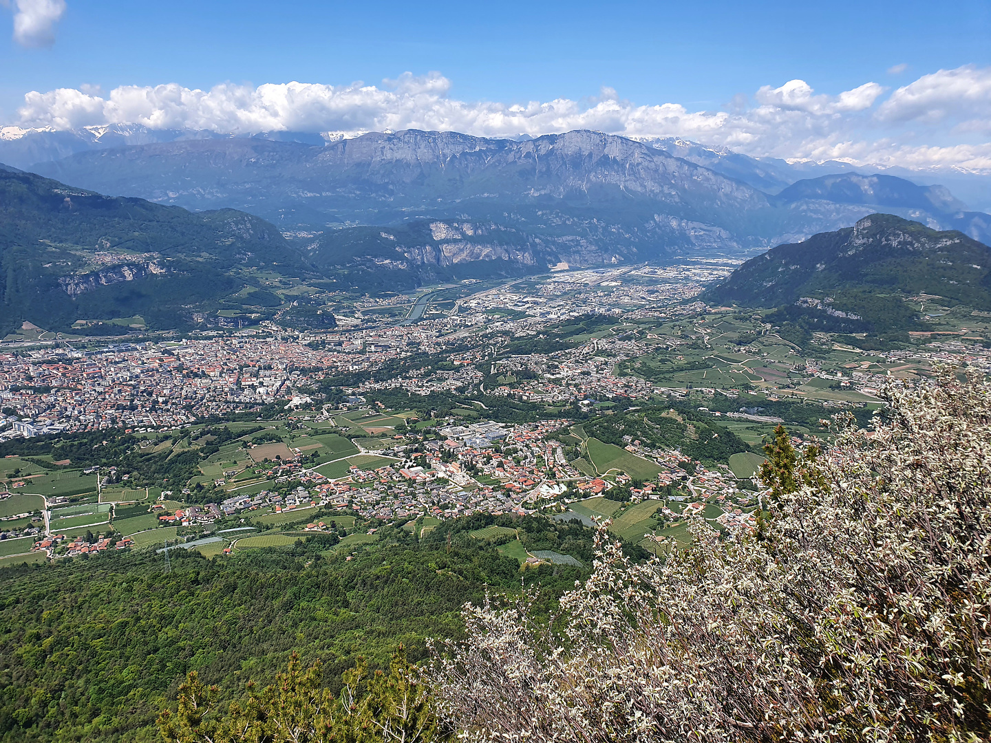 chegul-trento.jpg