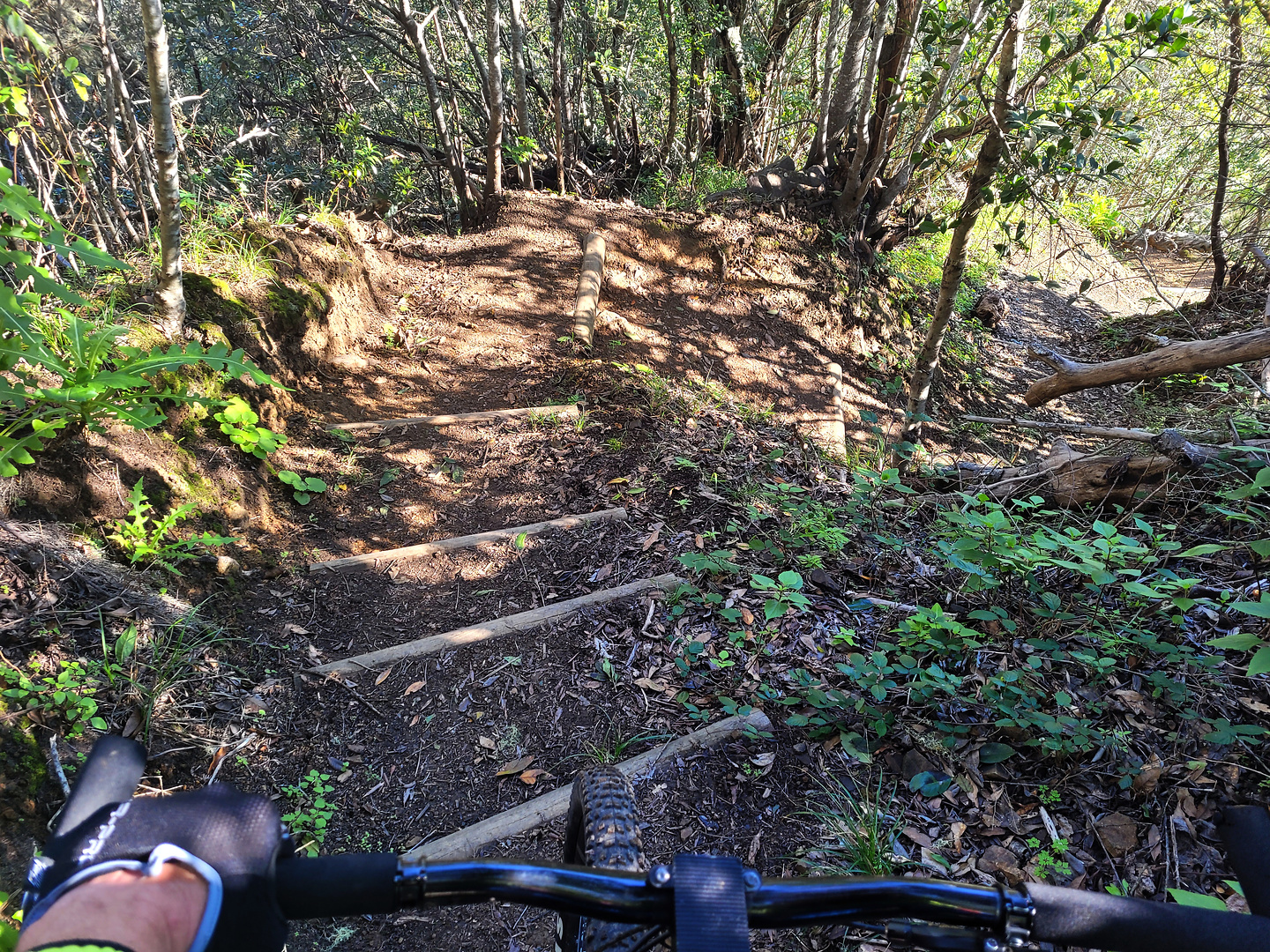 corgohermoso-trail2.jpg
