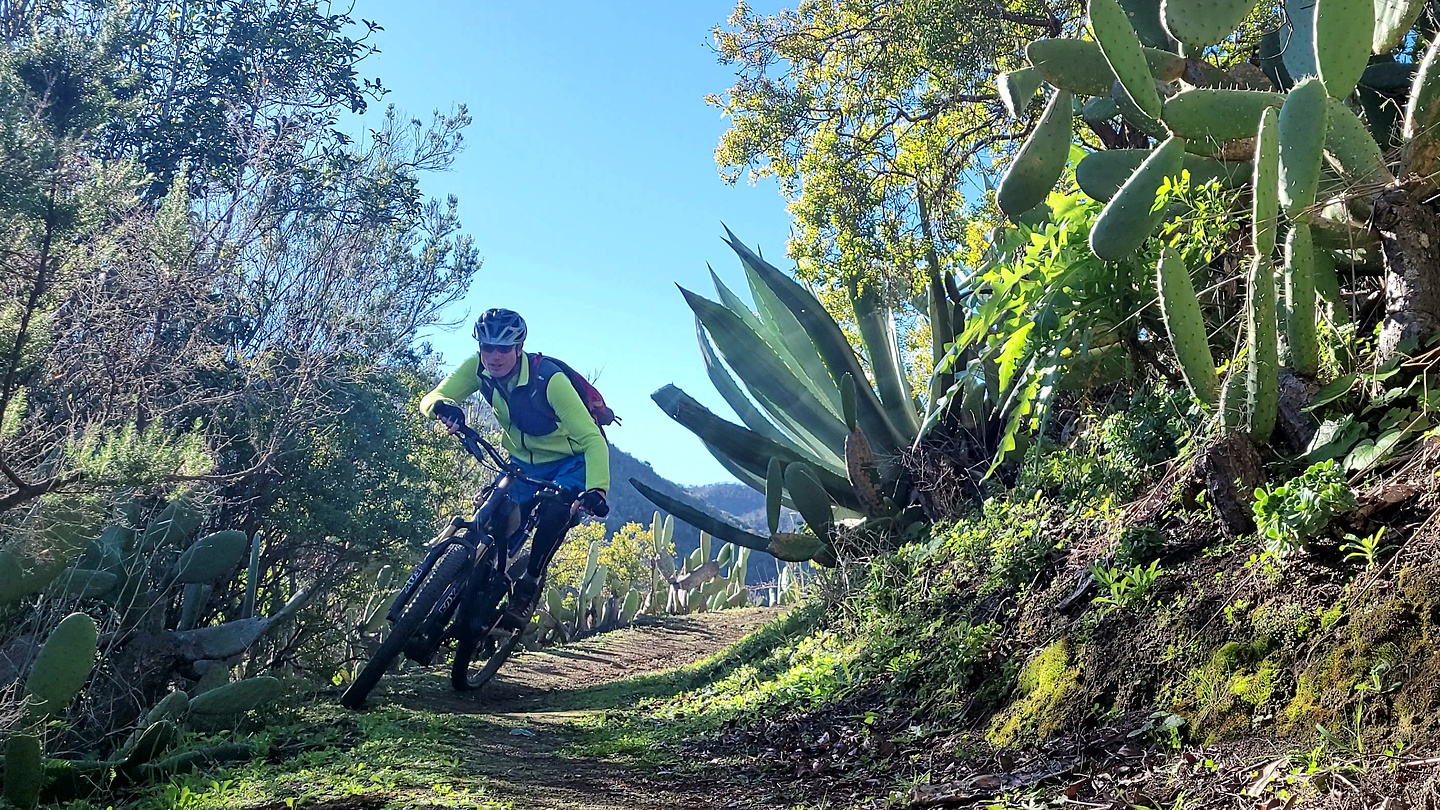corgohermoso-trail3.jpg