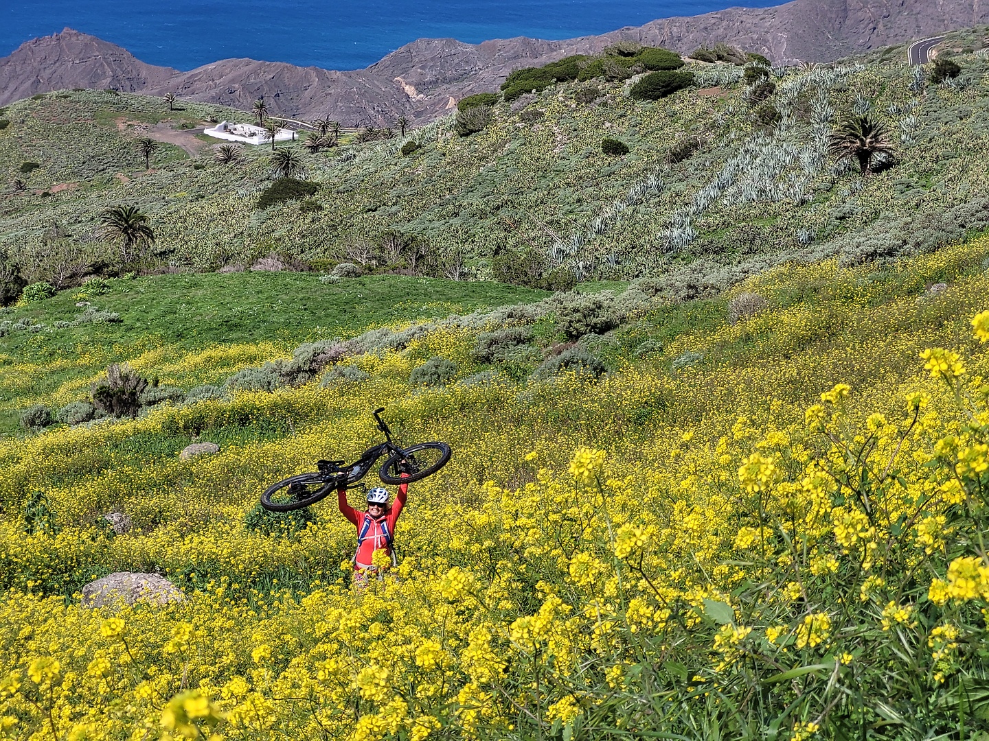 crusada-trail2.jpg