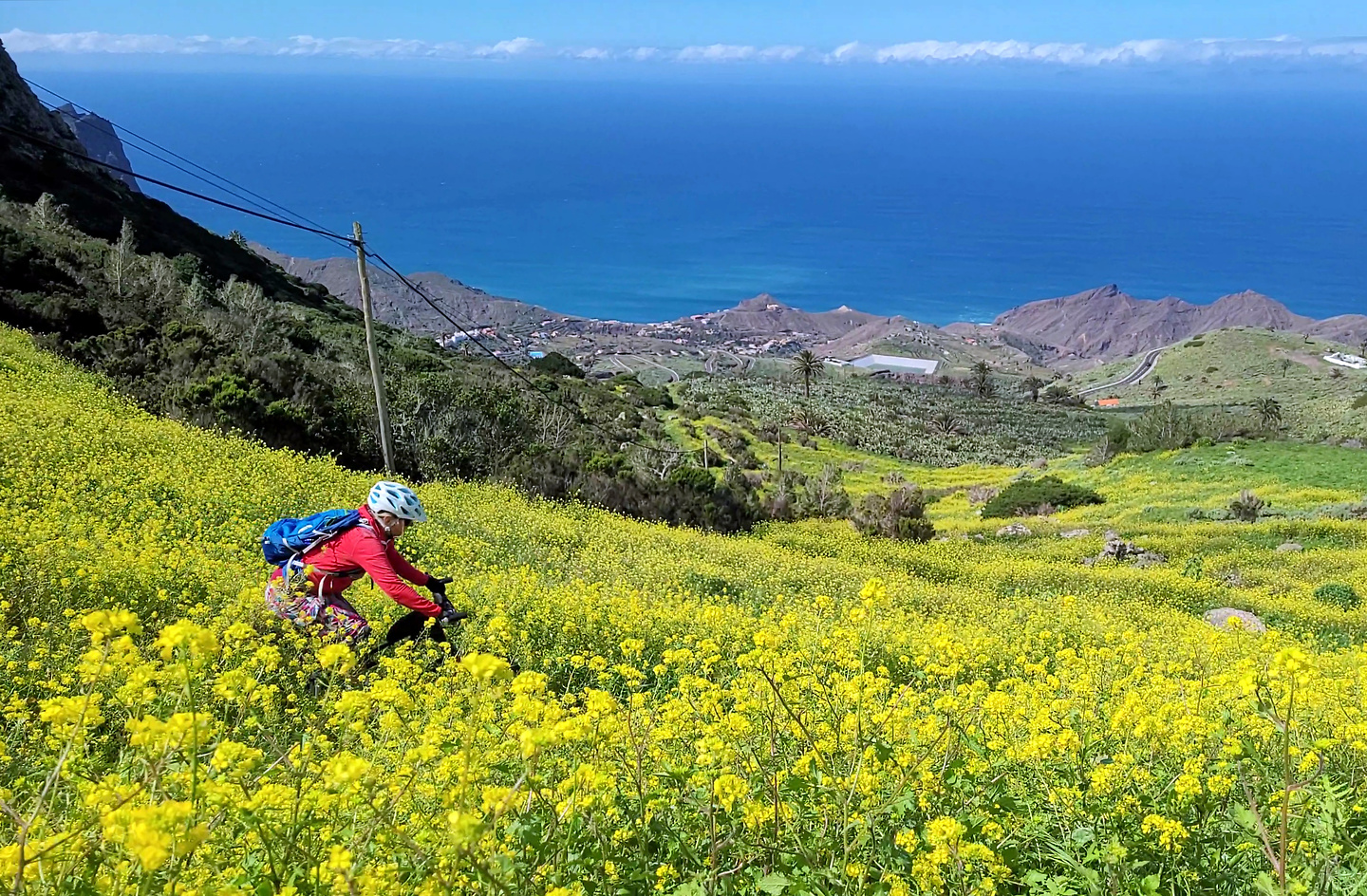 crusada-trail3.jpg