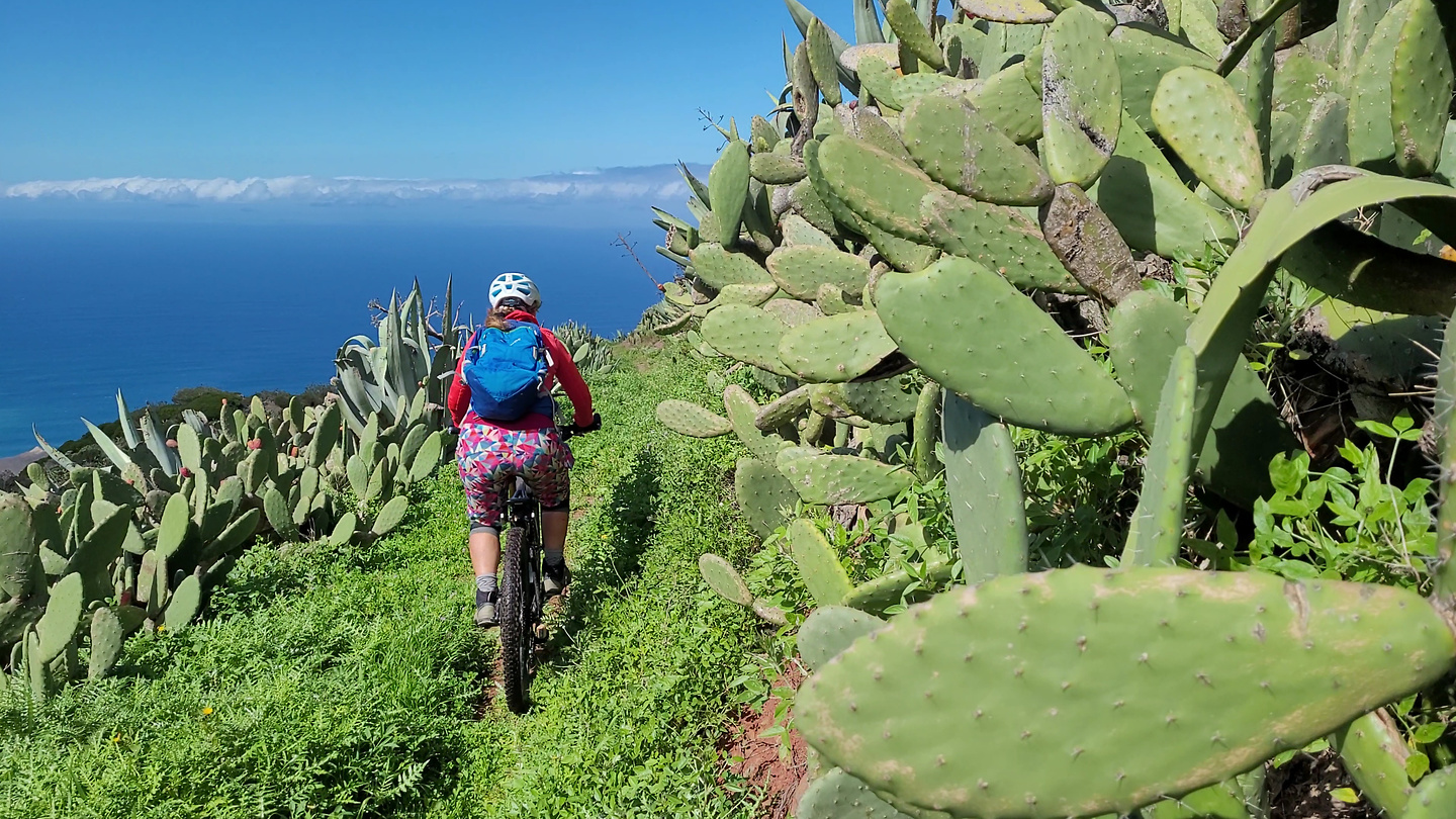crusada-trail6.jpg