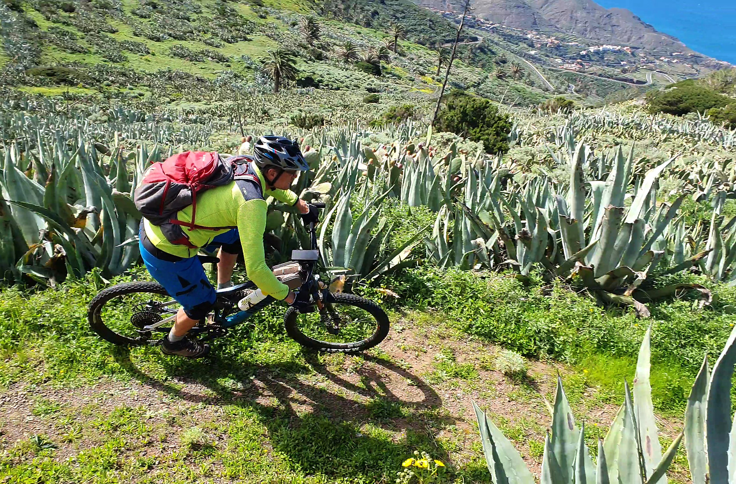 crusada-trail7.jpg
