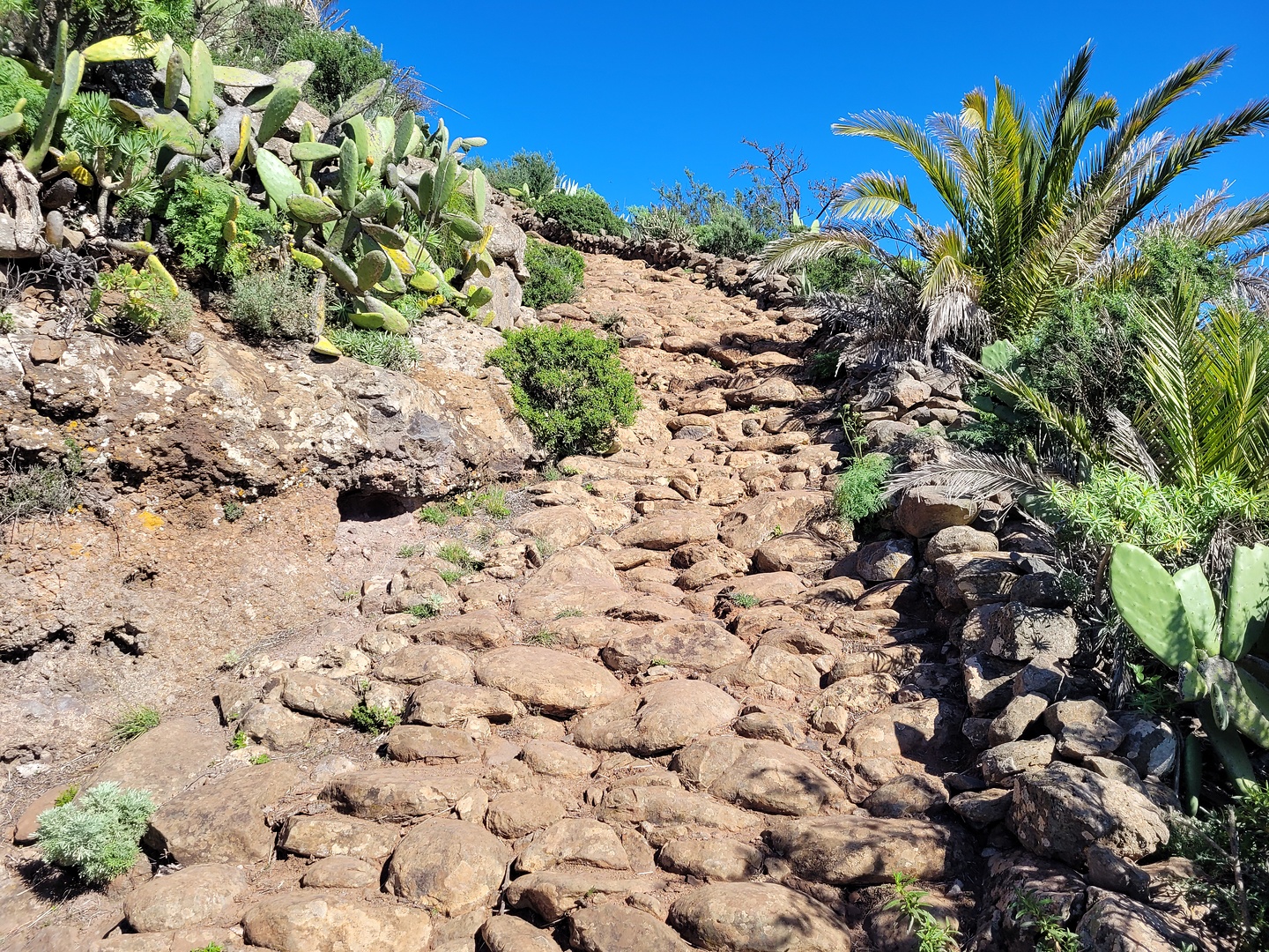 descancaderos-trail2.jpg