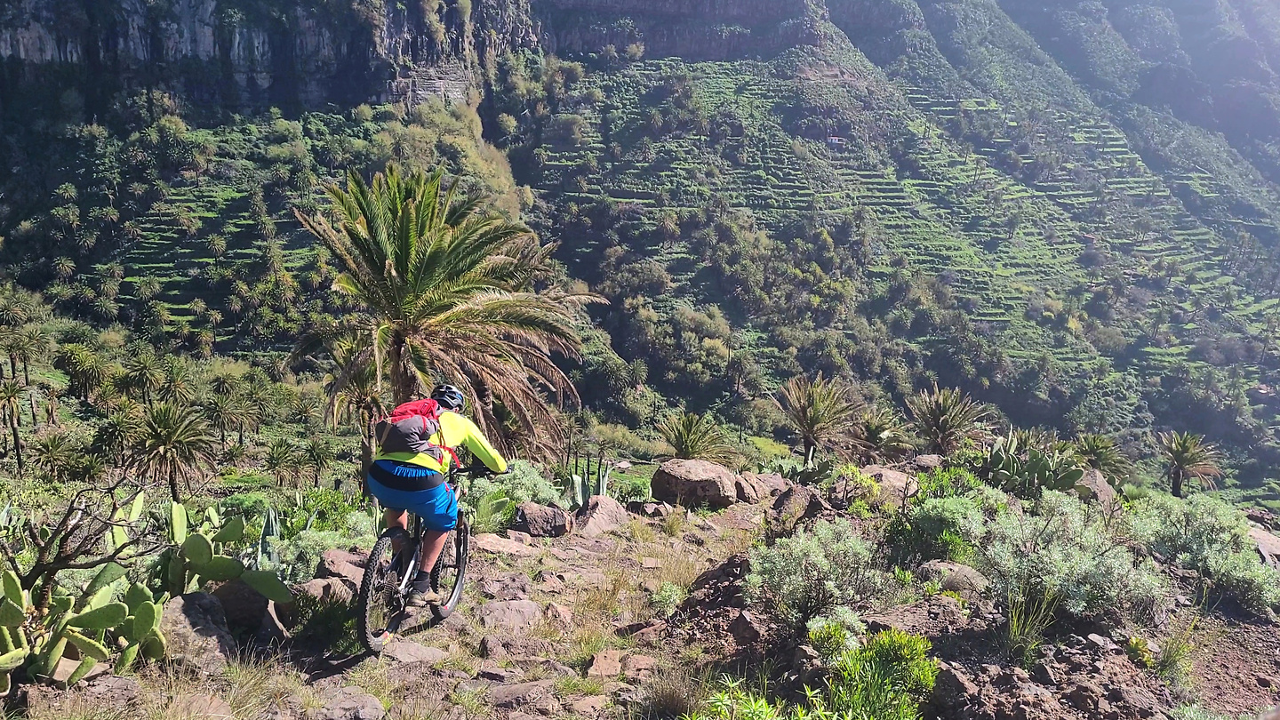 descancaderos-trail6.jpg