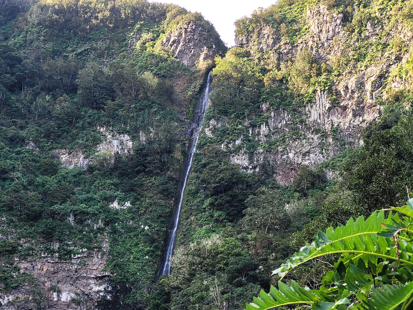 elcedro-hike1.jpg