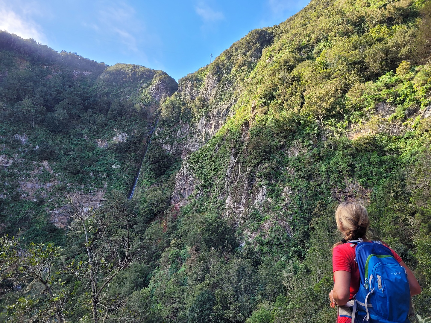 elcedro-hike3.jpg