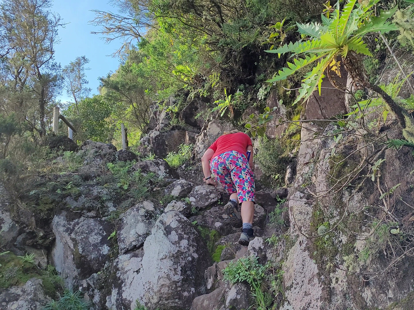 elcedro-hike4.jpg