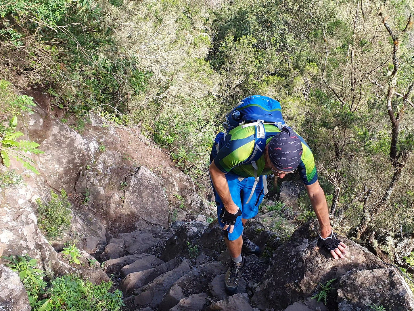 elcedro-hike5.jpg
