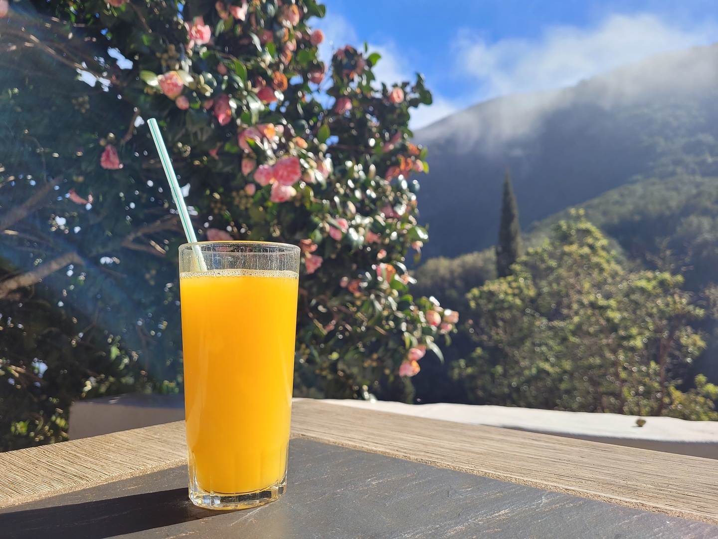 elcedro-hike6.jpg
