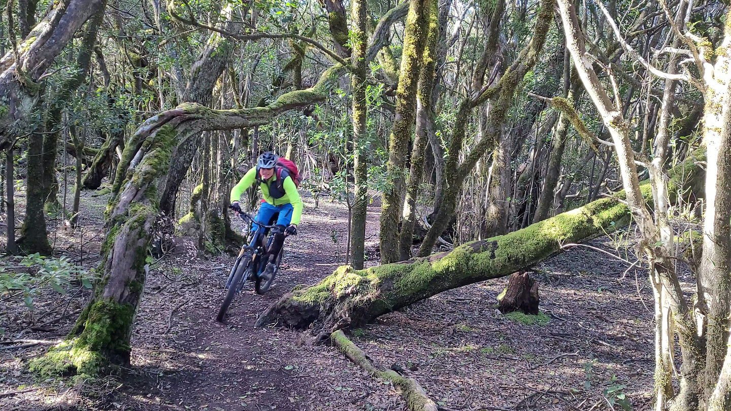 epinaalojera-trail0.jpg