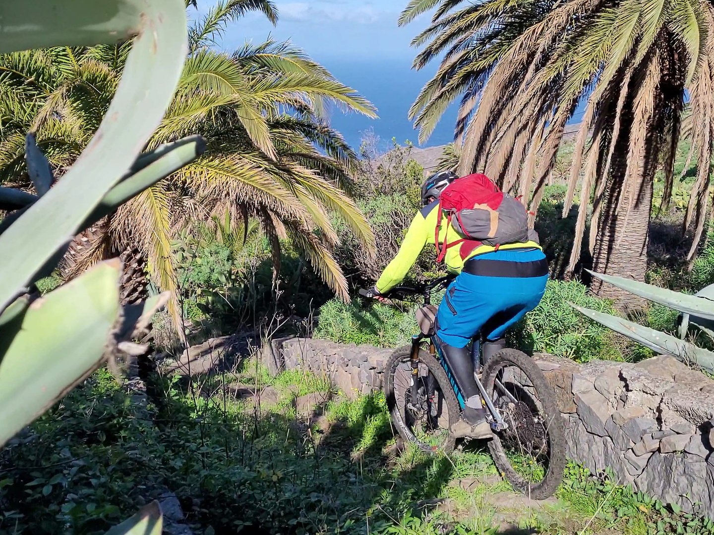 epinaalojera-trail3.jpg