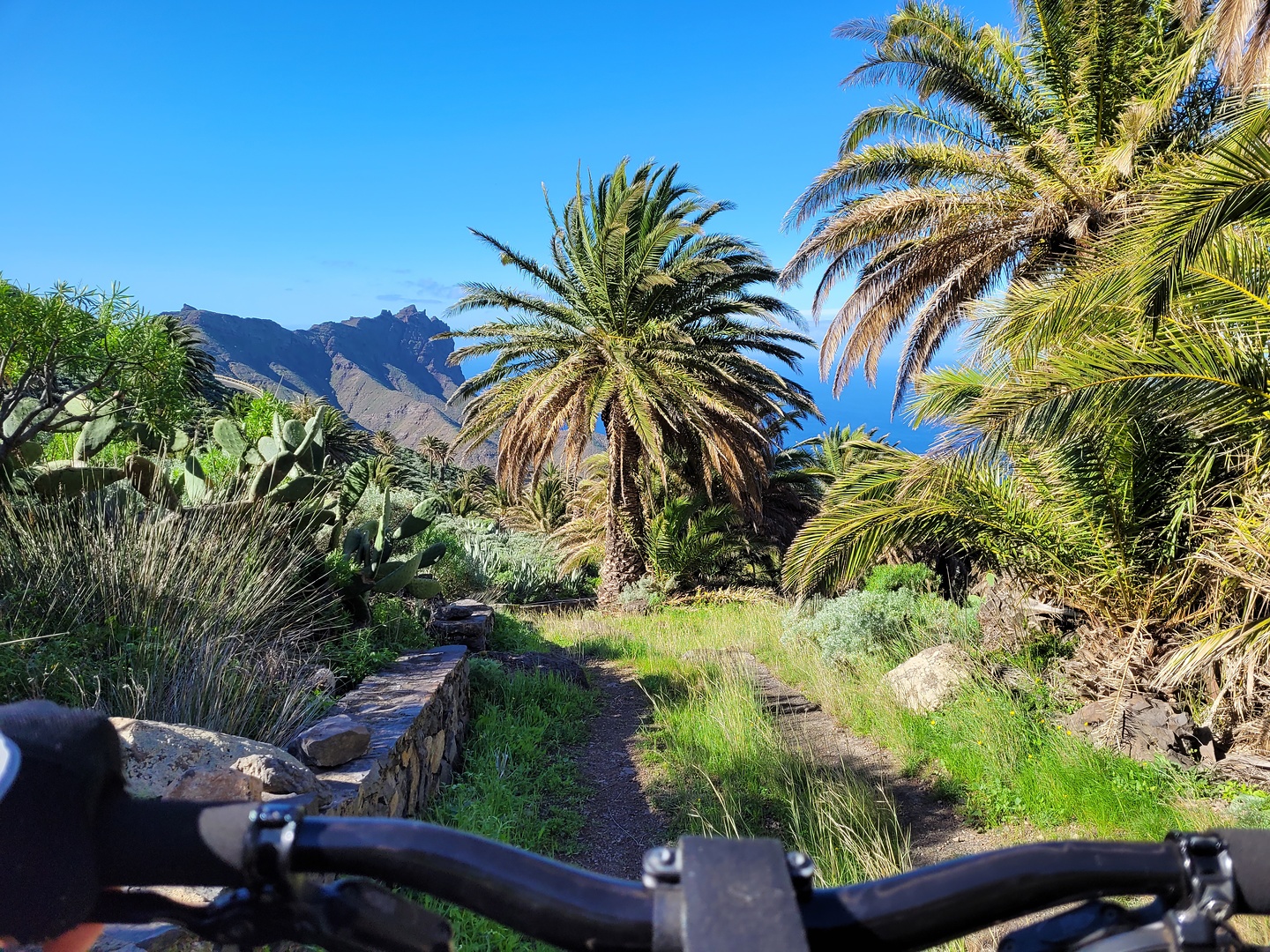 epinaalojera-trail4.jpg