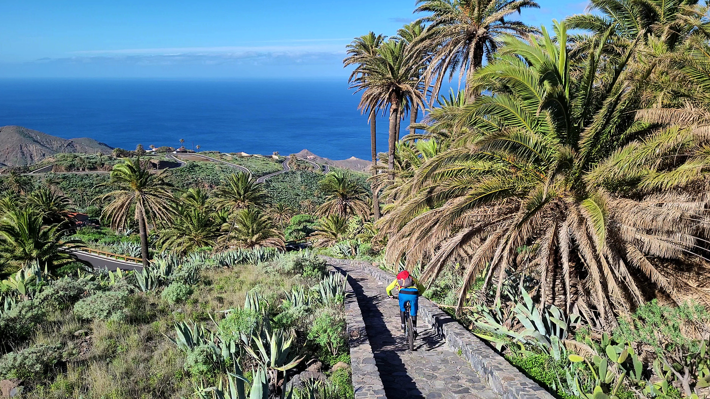 epinaalojera-trail5.jpg