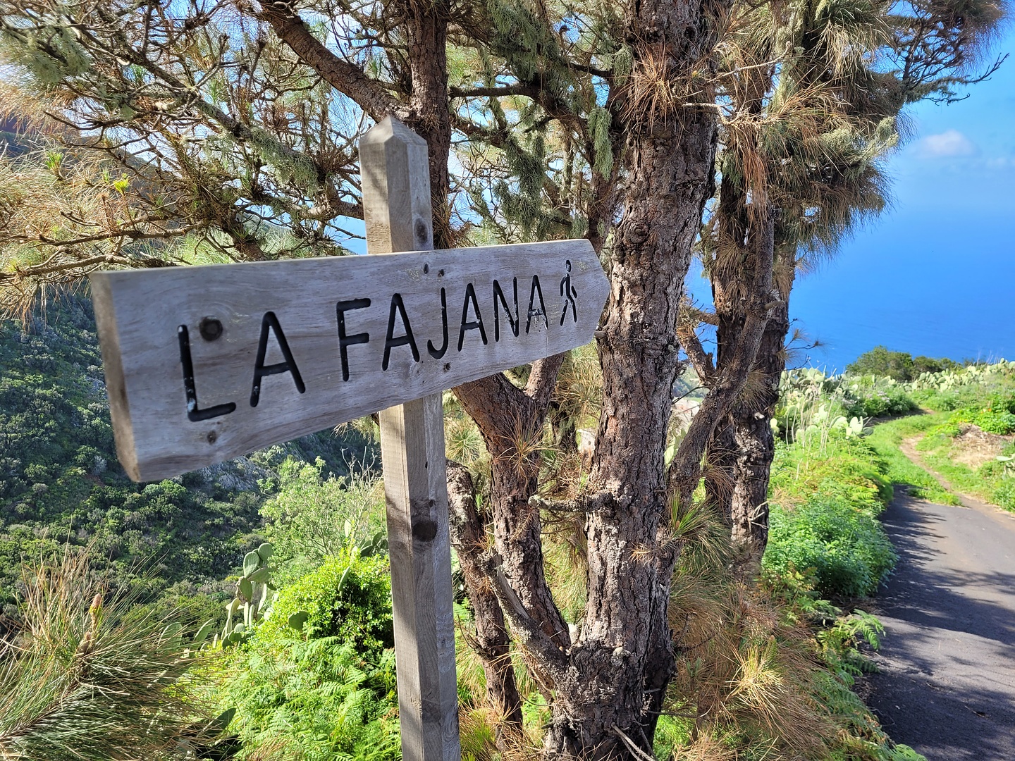 fajana-trail1.jpg