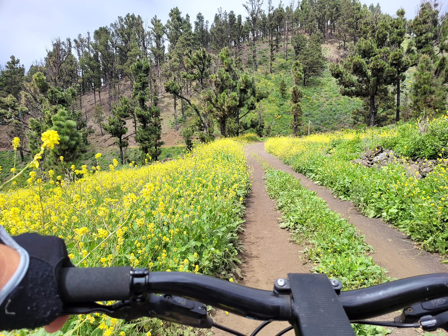fuencaliente-notrail2.jpg