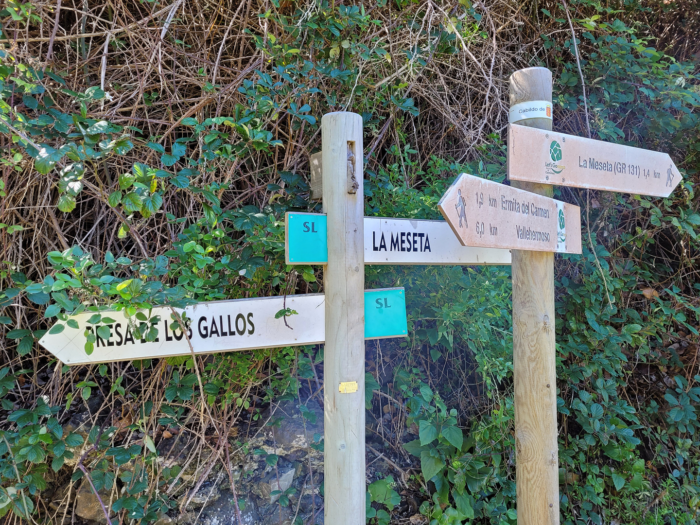 gallos-trail1.jpg