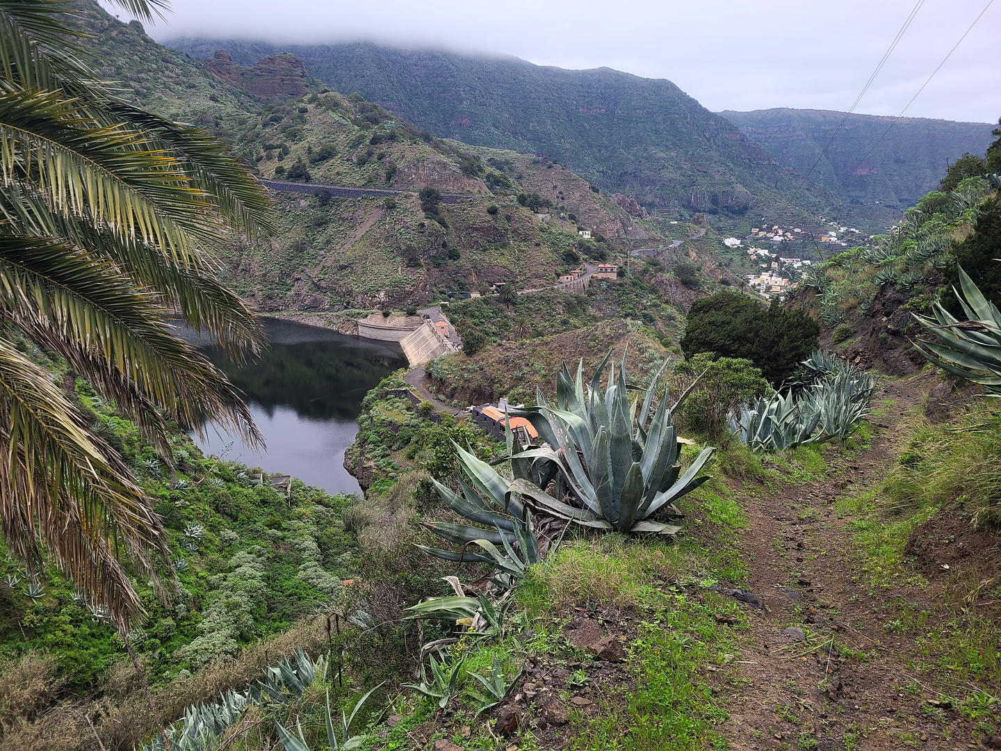 hermigua-bananatrail1.jpg