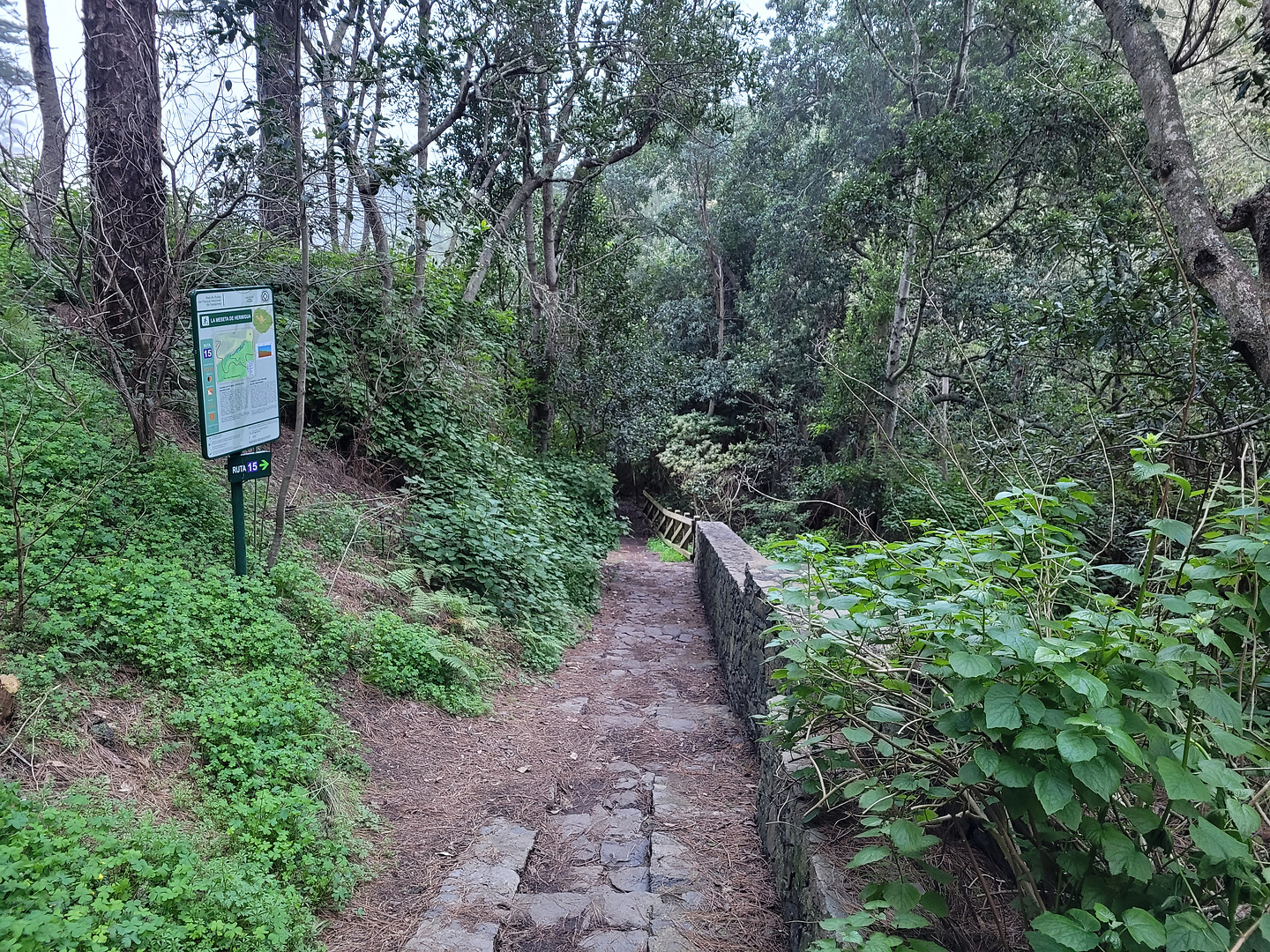 hermigua-mesetatrail1.jpg