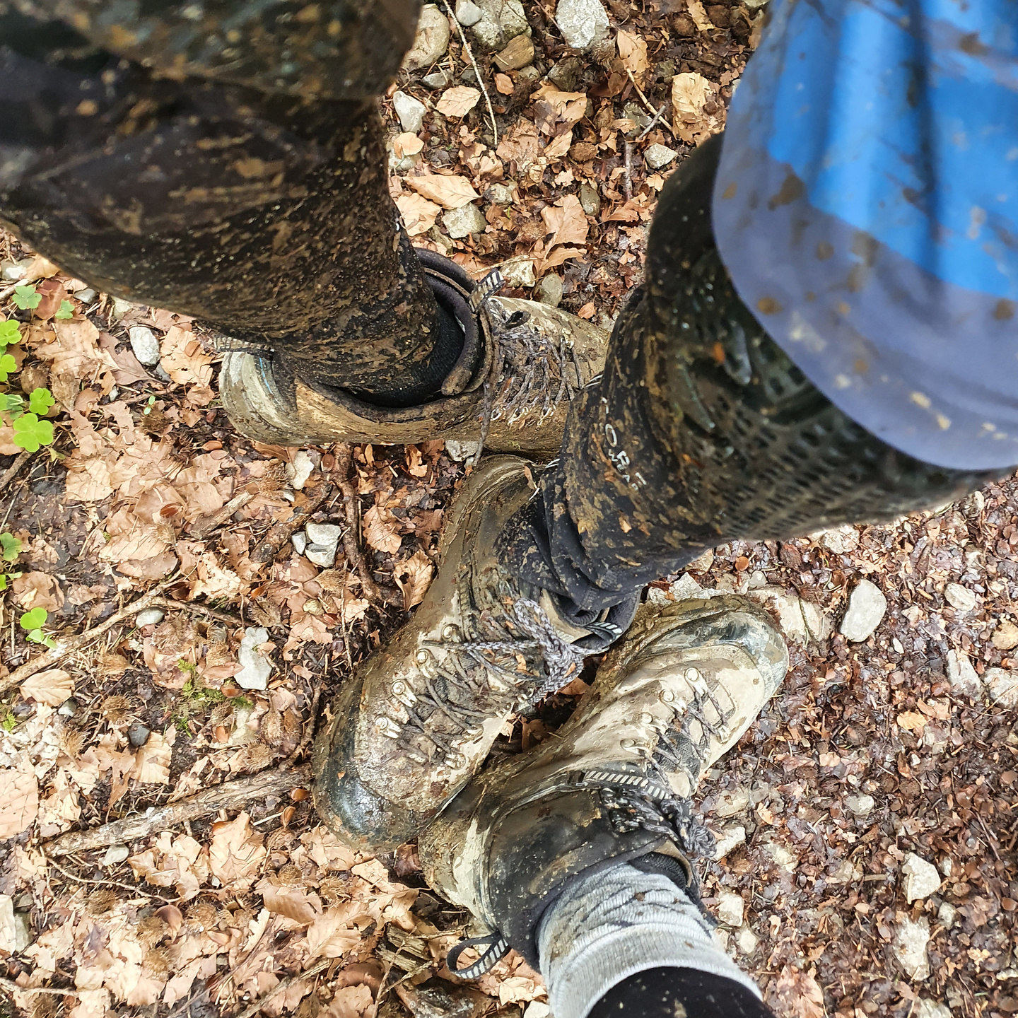 hirschtalsattel-trail2.jpg