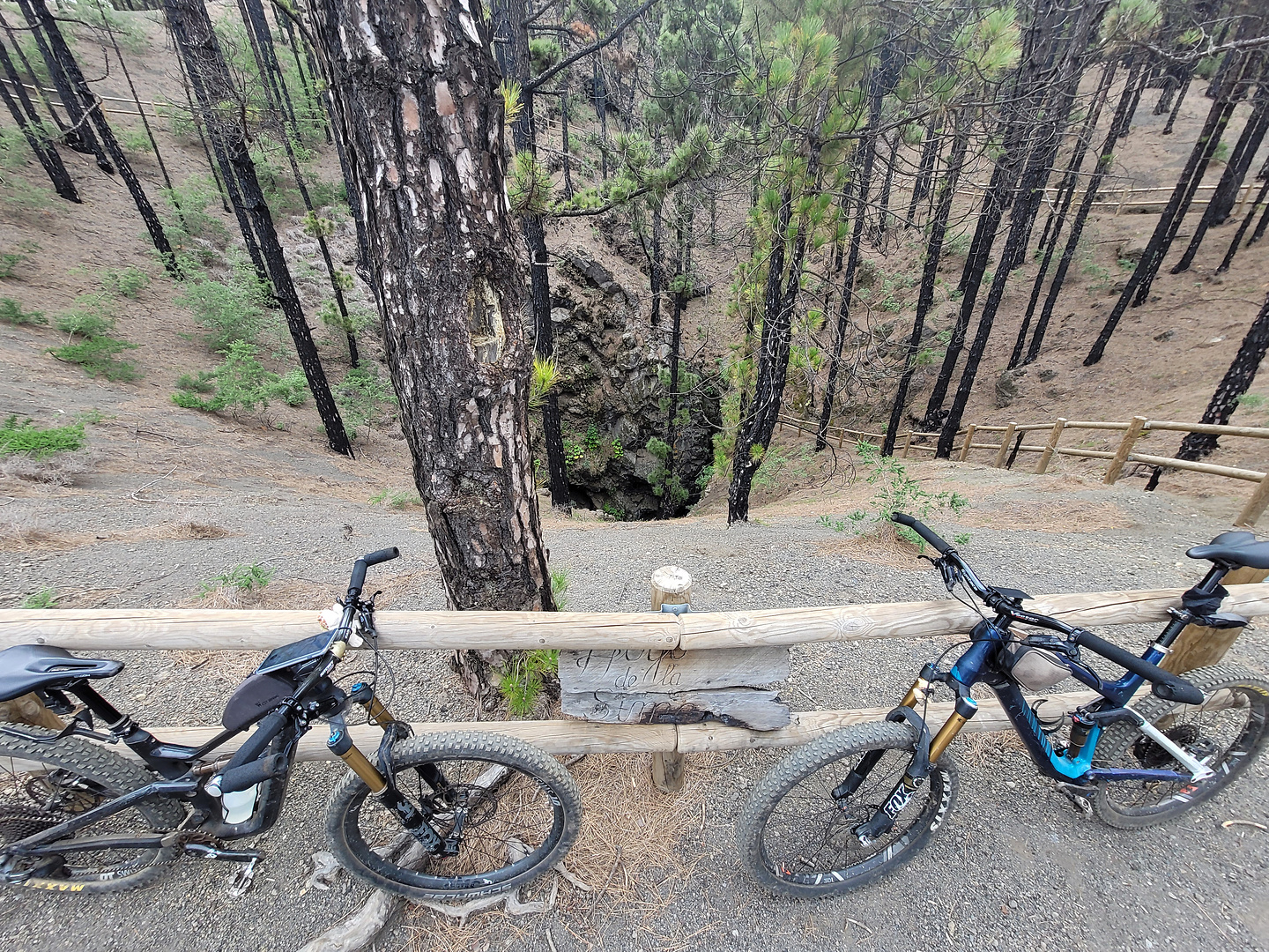 hoyosima-trail0.jpg
