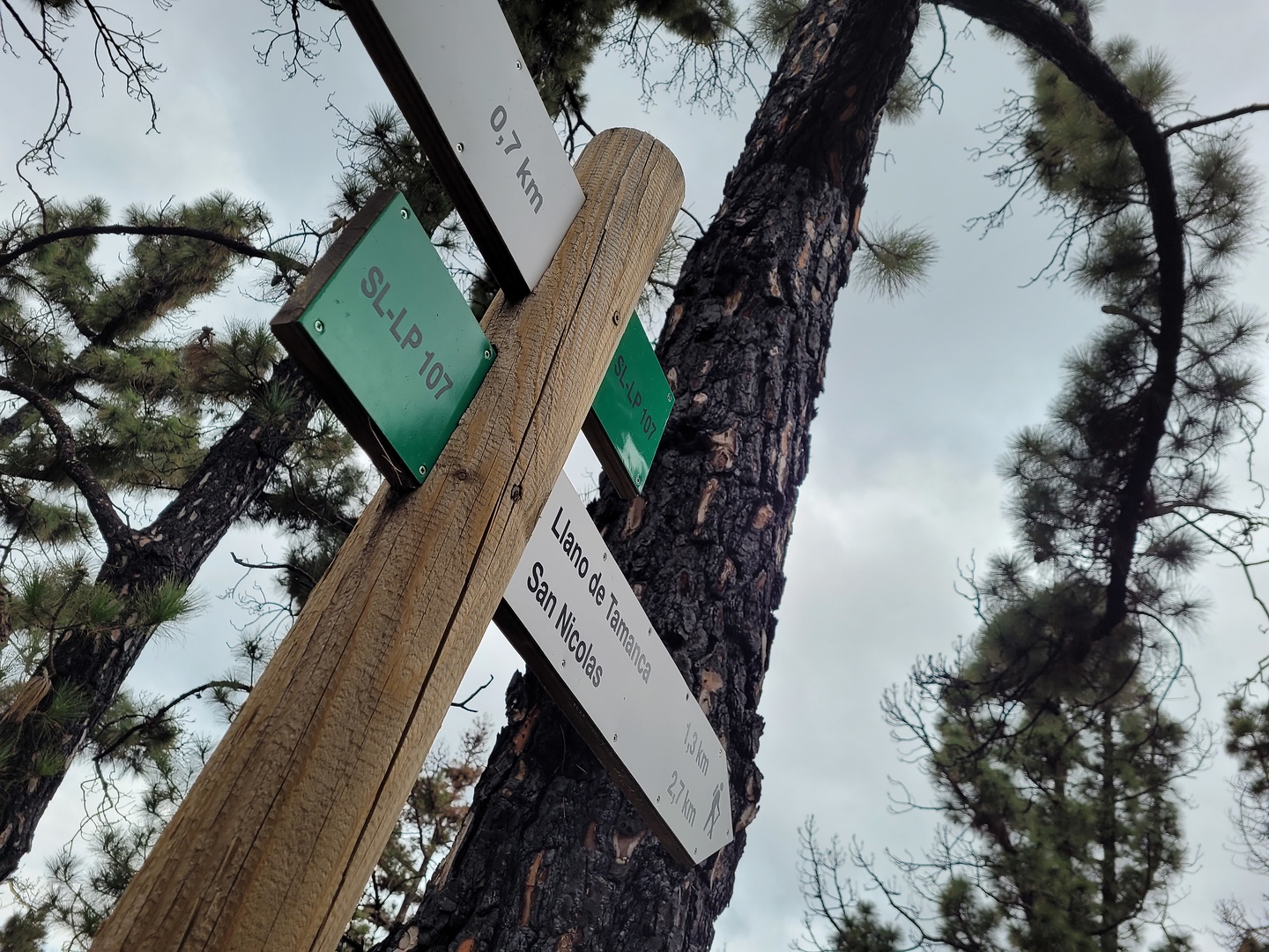 hoyosima-trail1.jpg