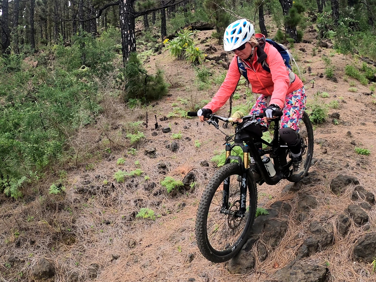 hoyosima-trail2.jpg