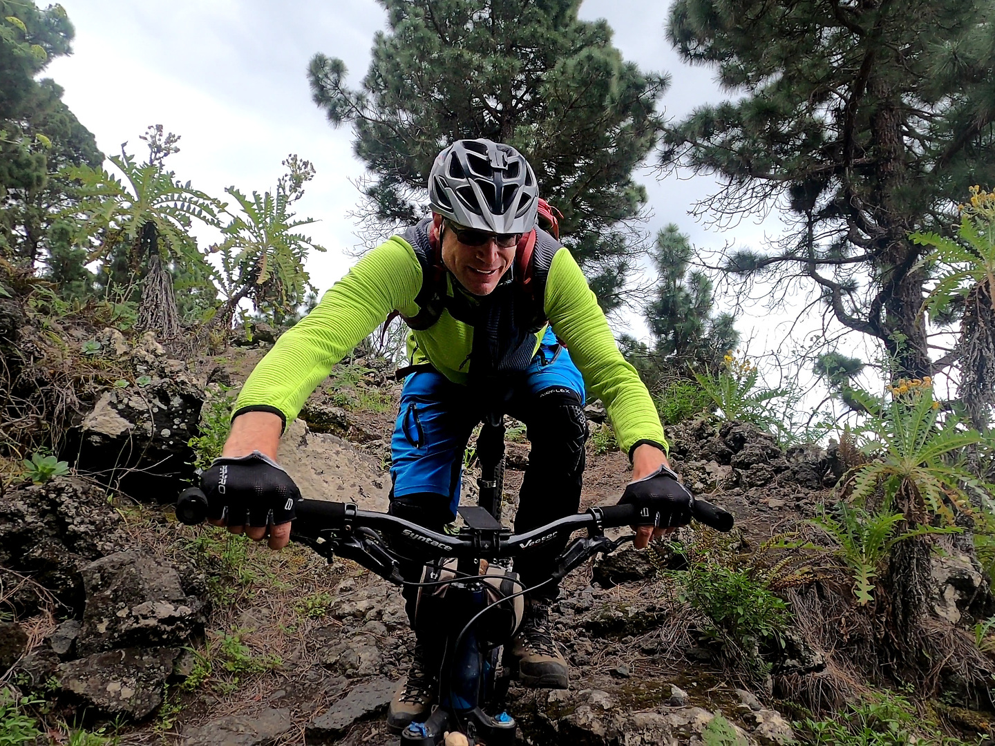 hoyosima-trail4.jpg