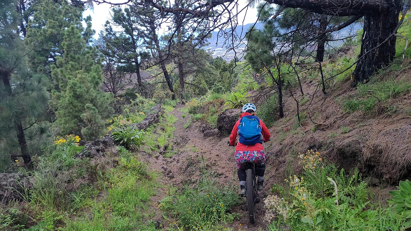 hoyosima-trail5.jpg