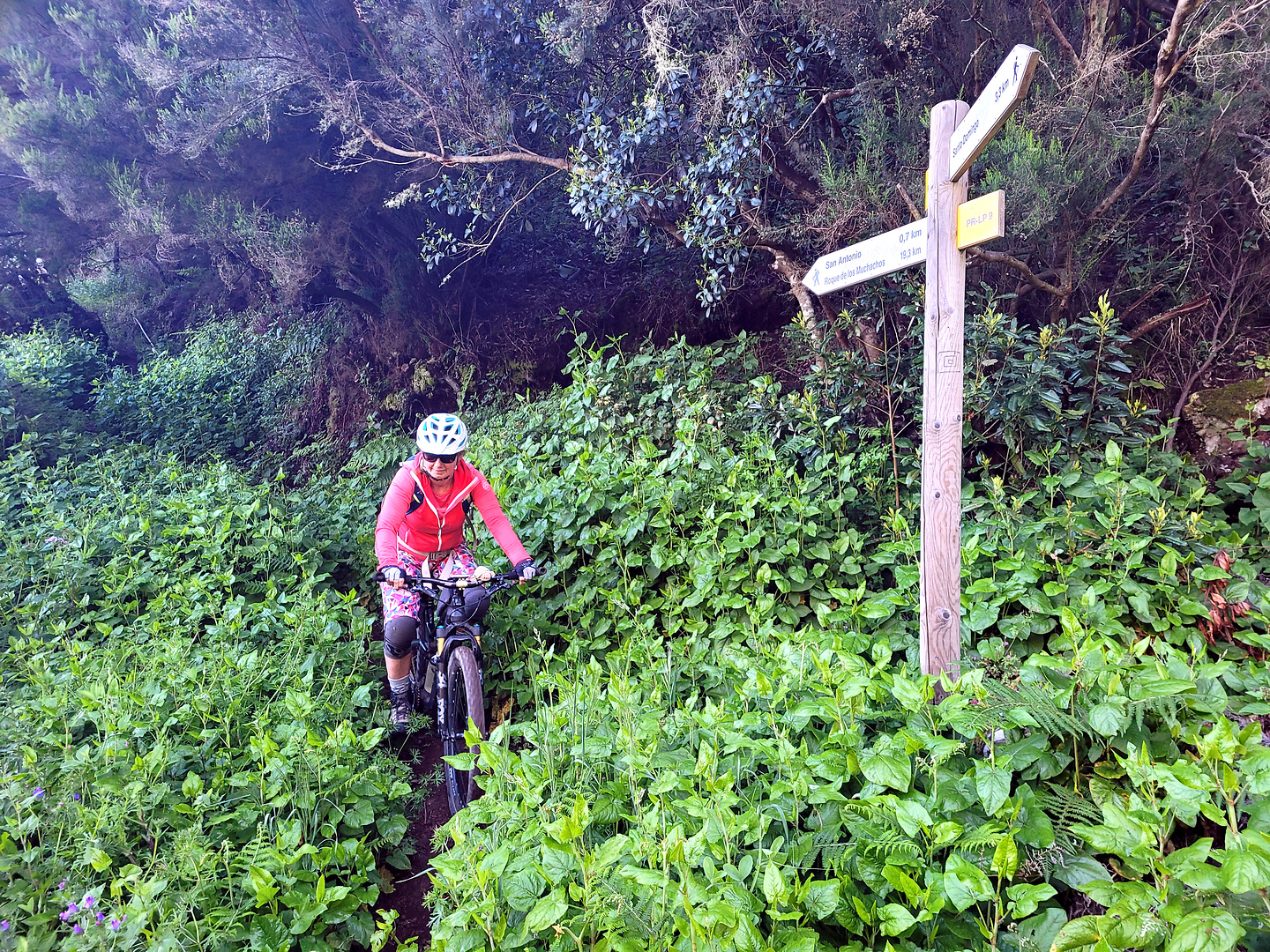 huerta-trail3.jpg