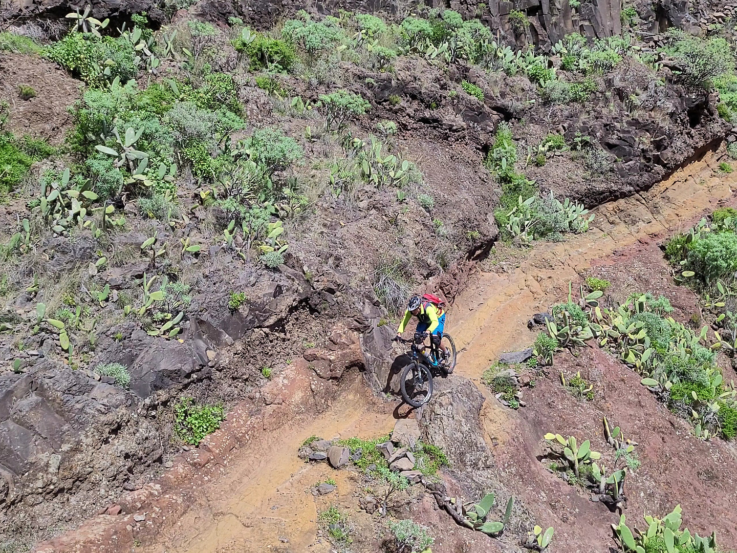 imada-trail12.jpg