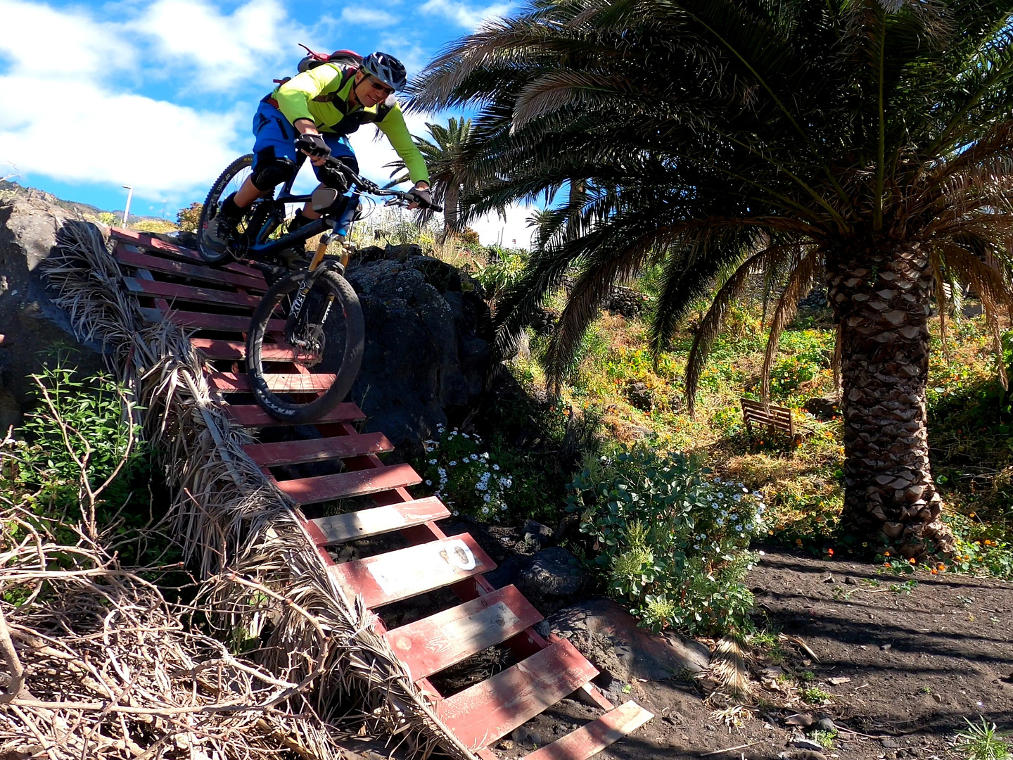 jedey-barranco12.jpg