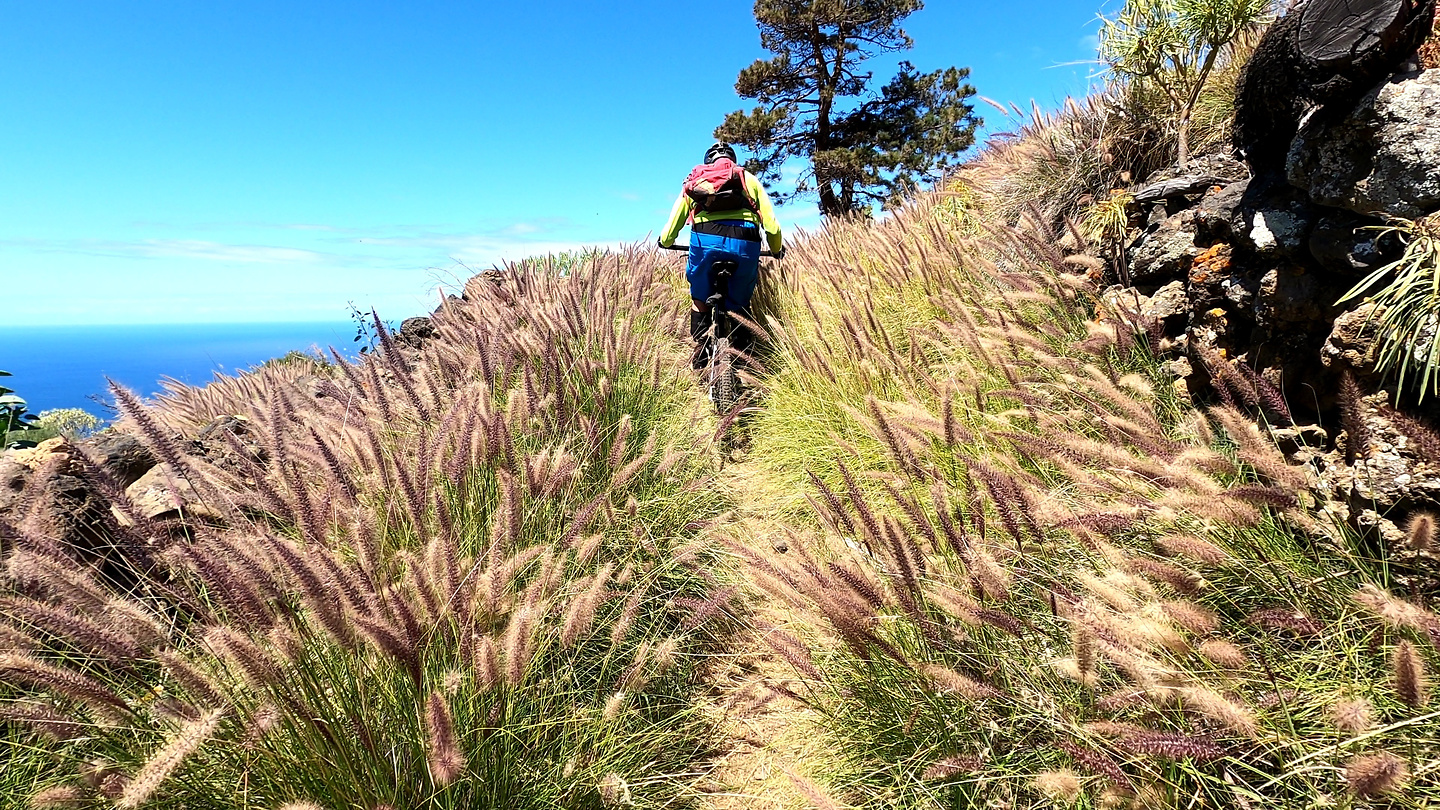 jedey-gr130trail3.jpg
