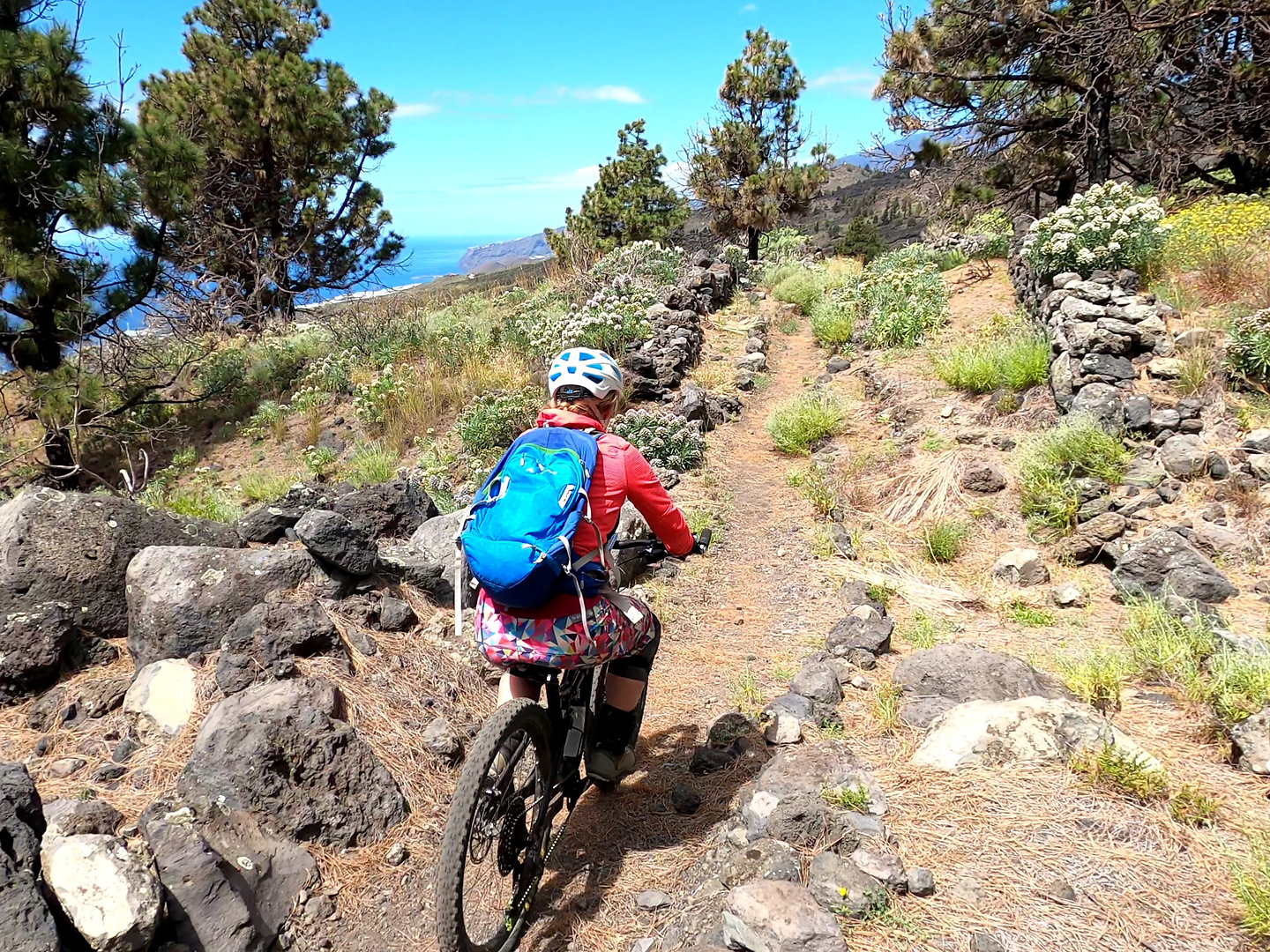 jedey-gr130trail5.jpg