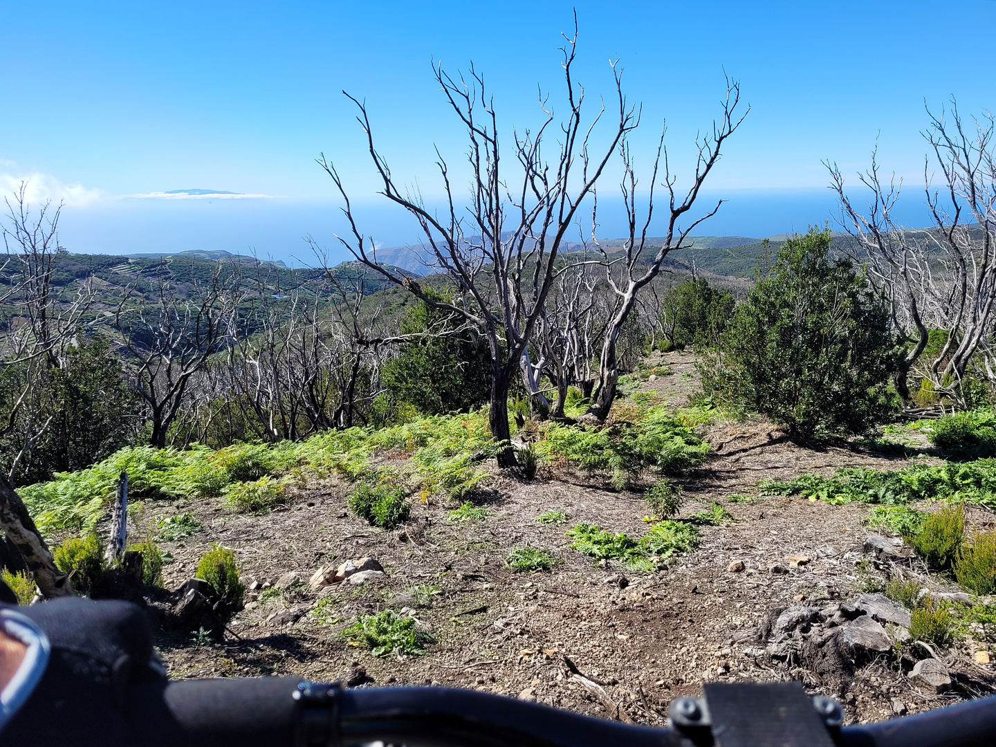 lagunagrande-trail1.jpg