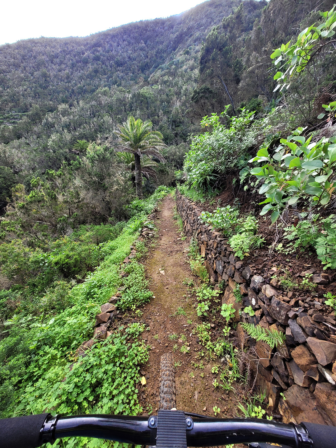 lasrosas-trail3.jpg