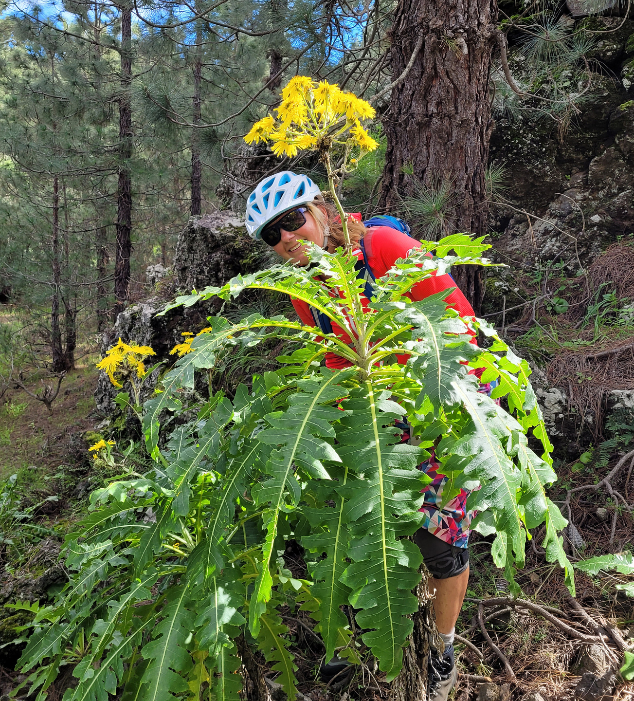 llanosjable-trail13.jpg