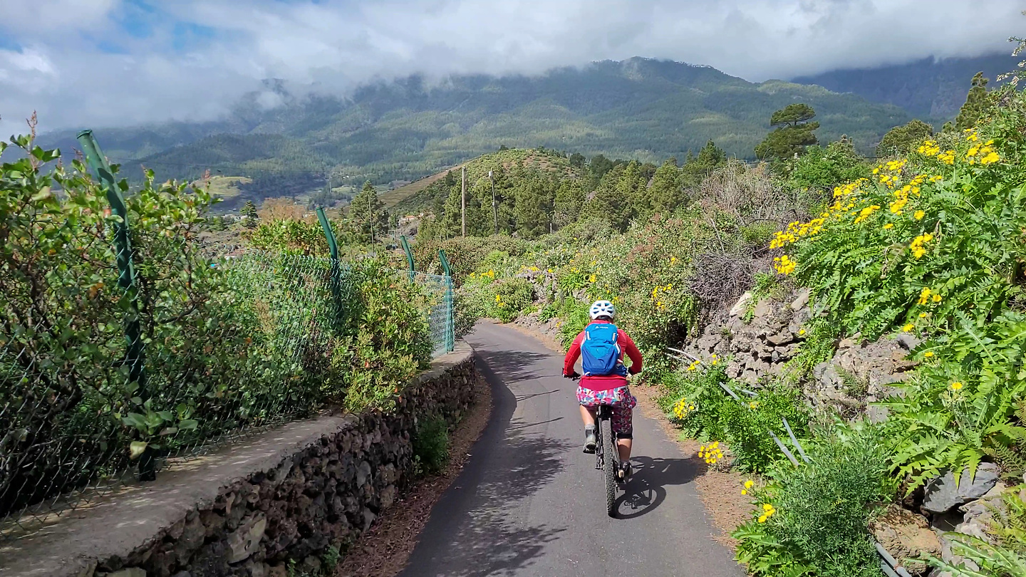 llanosjable-trail14.jpg