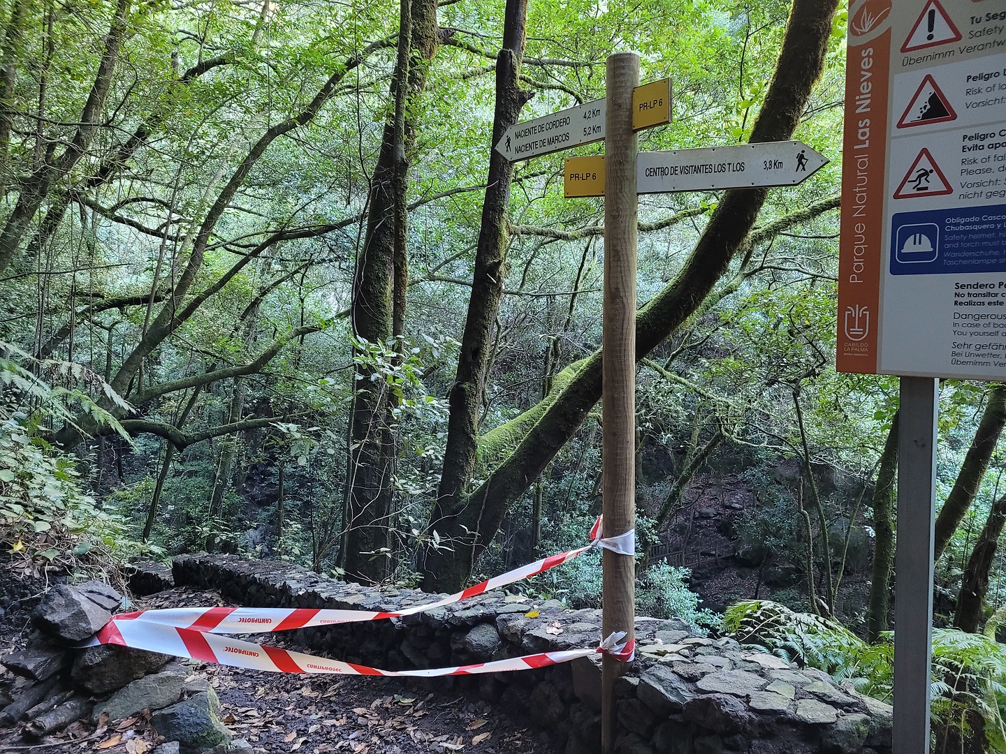 lostilos-hike2.jpg