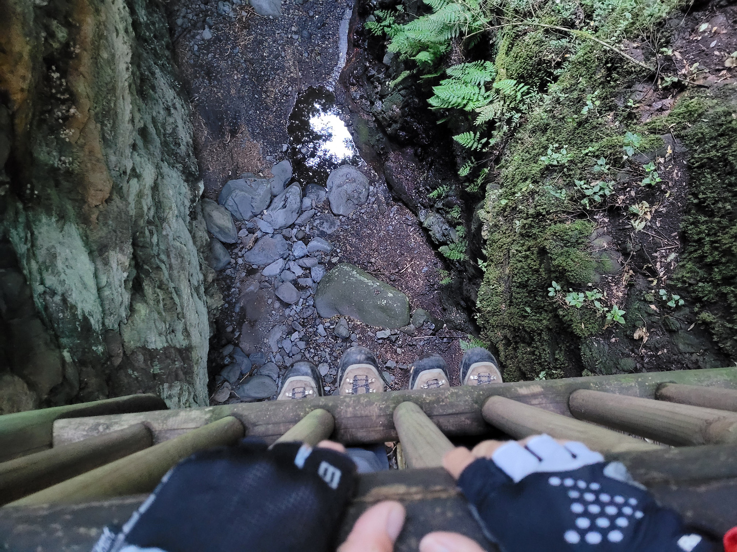 lostilos-hike4.jpg