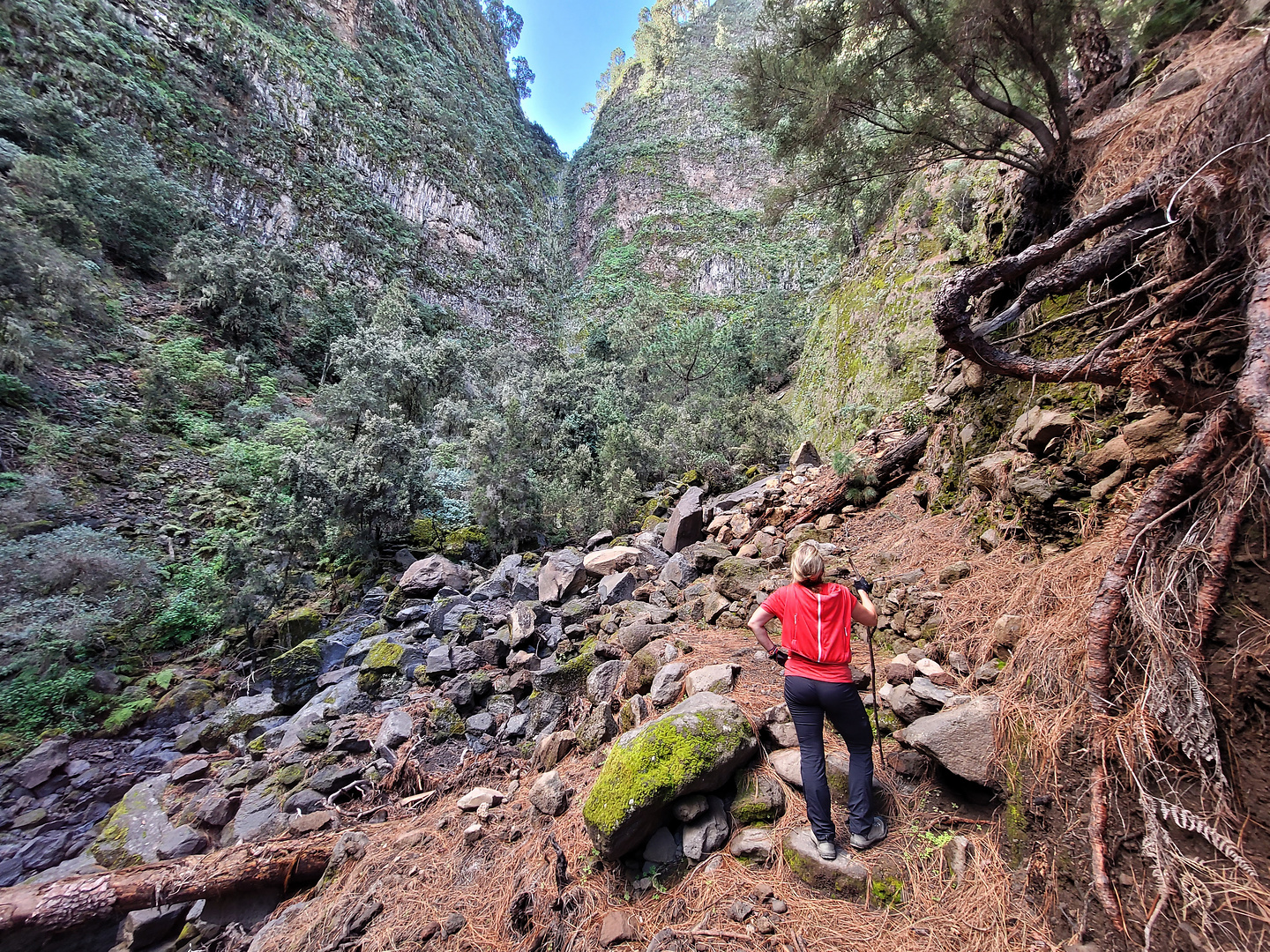 lostilos-hike8.jpg