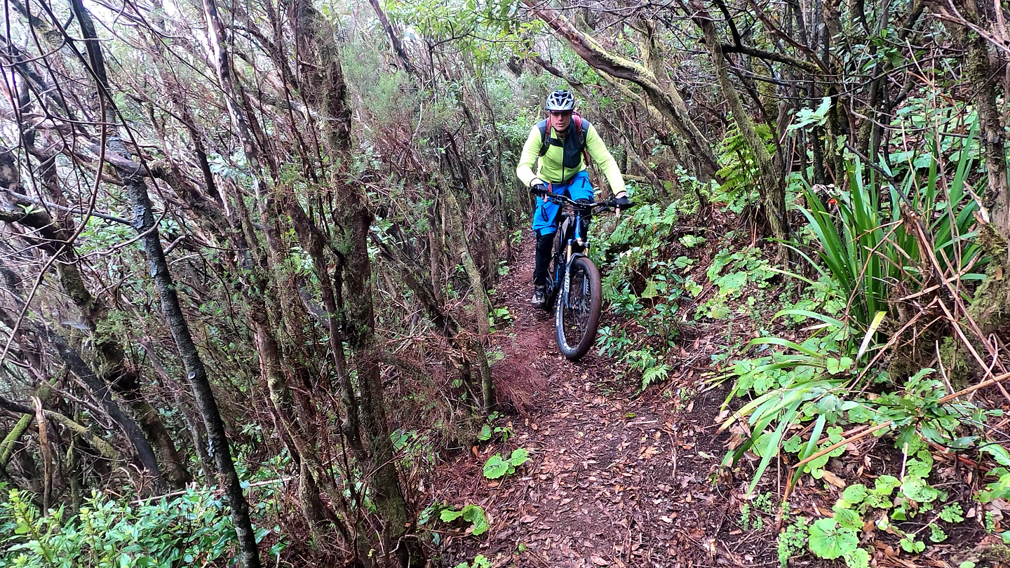 middleearth-trail3.jpg