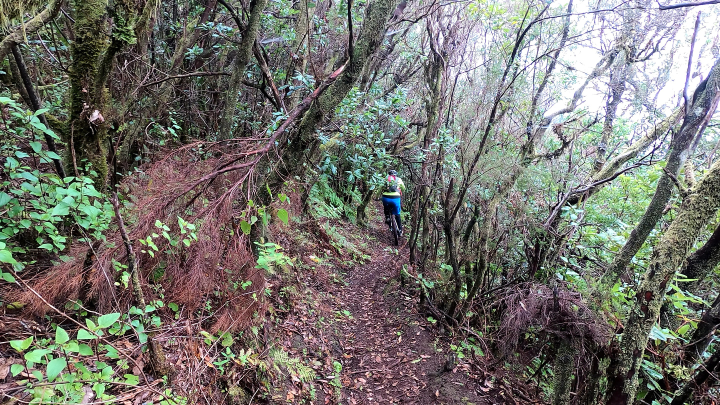 middleearth-trail4.jpg