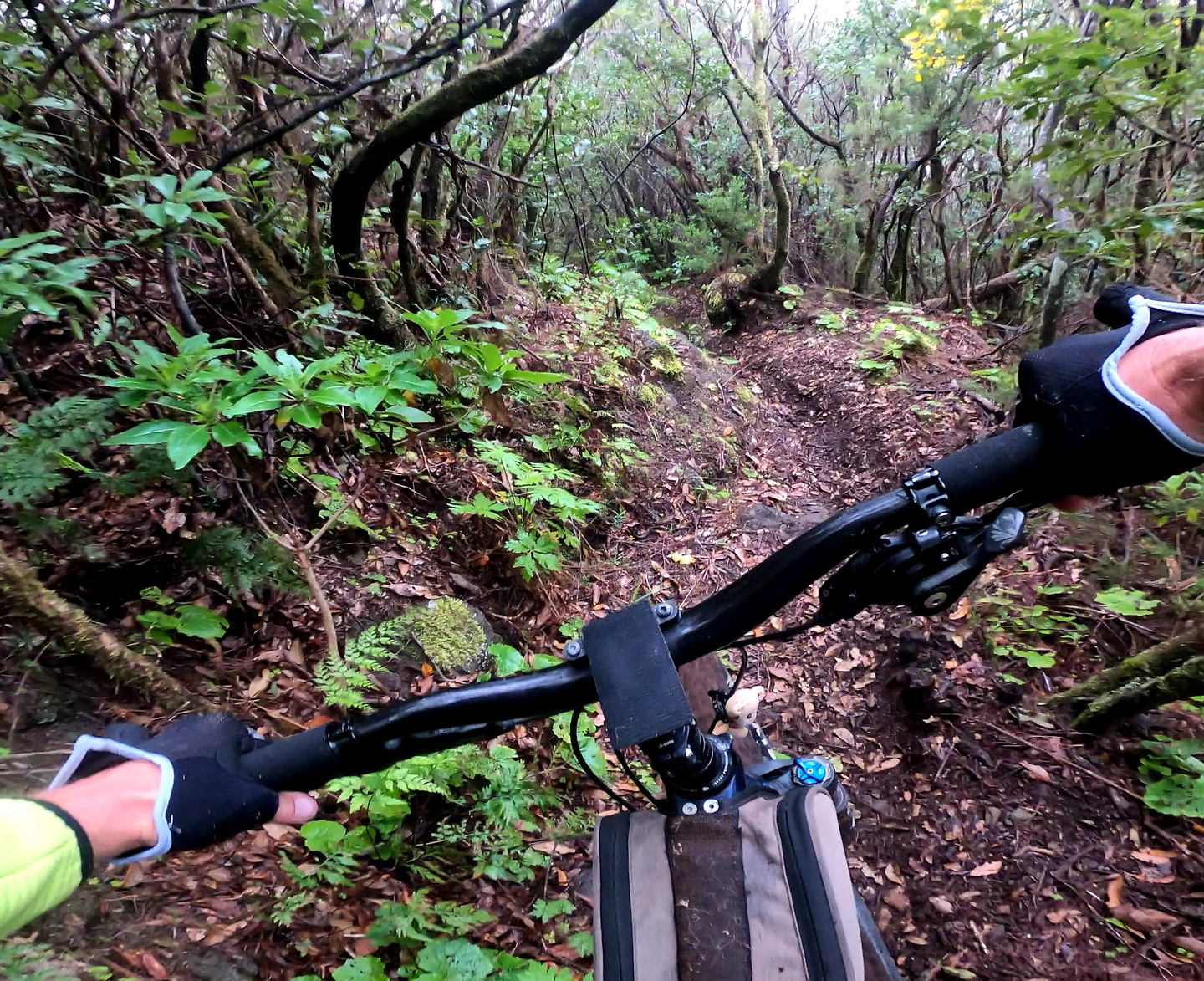 middleearth-trail5.jpg
