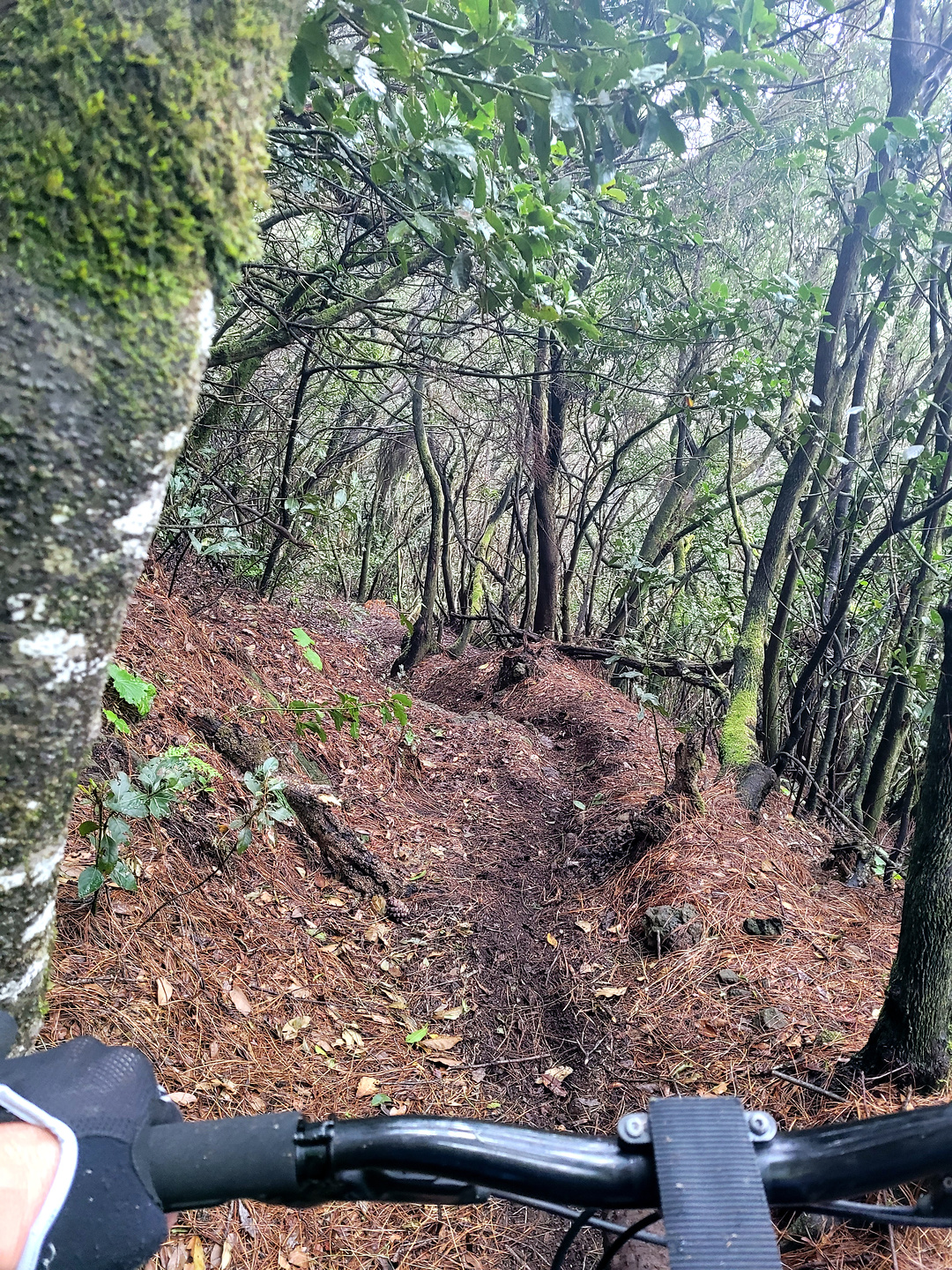 middleearth-trail9.jpg
