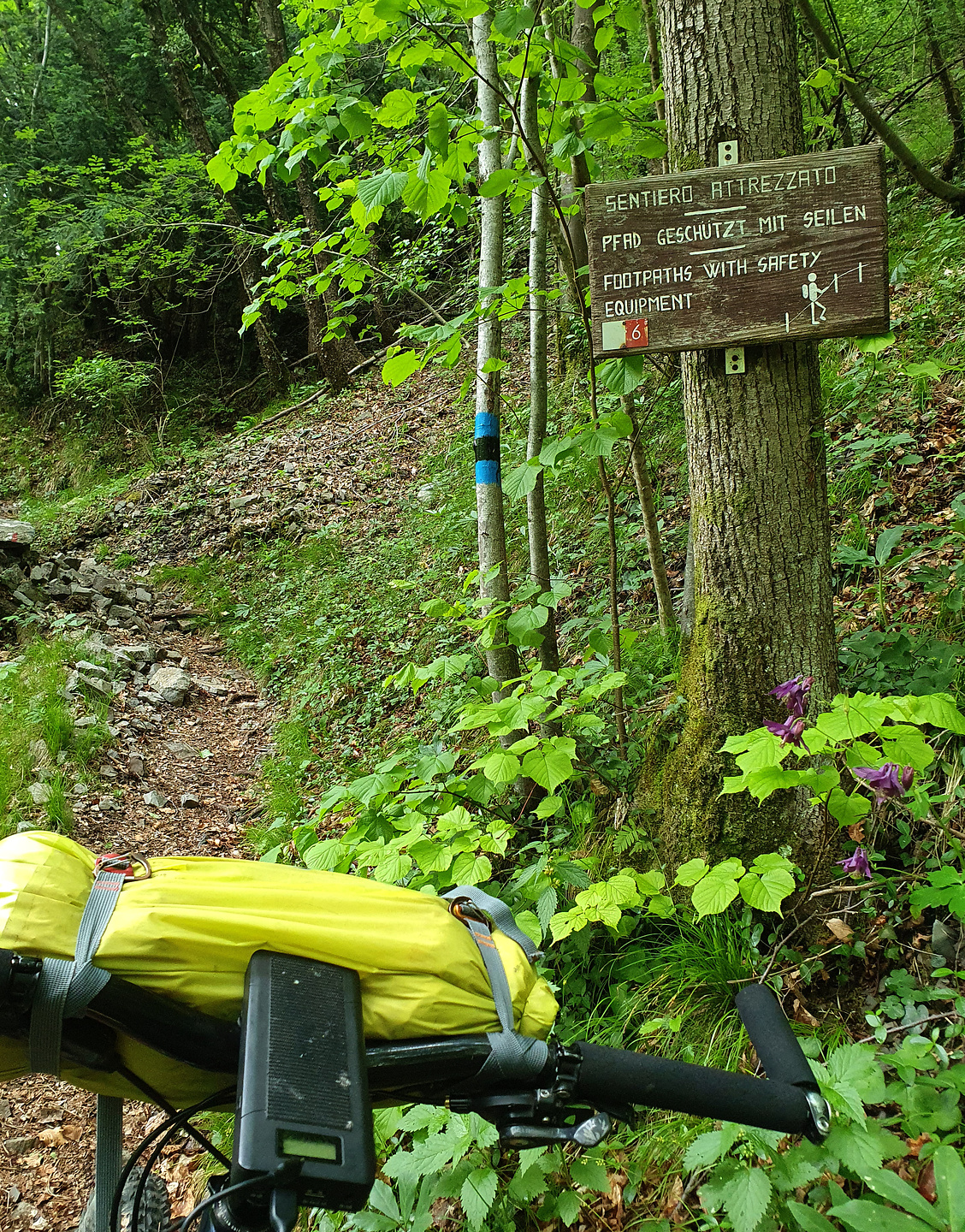 montestino-trail5.jpg