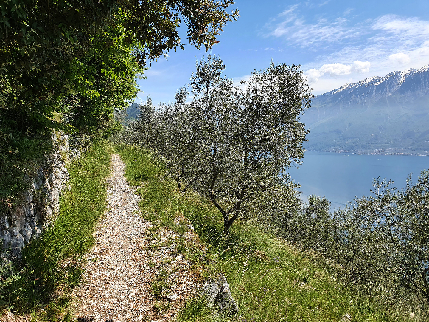 muslone-trail4.jpg