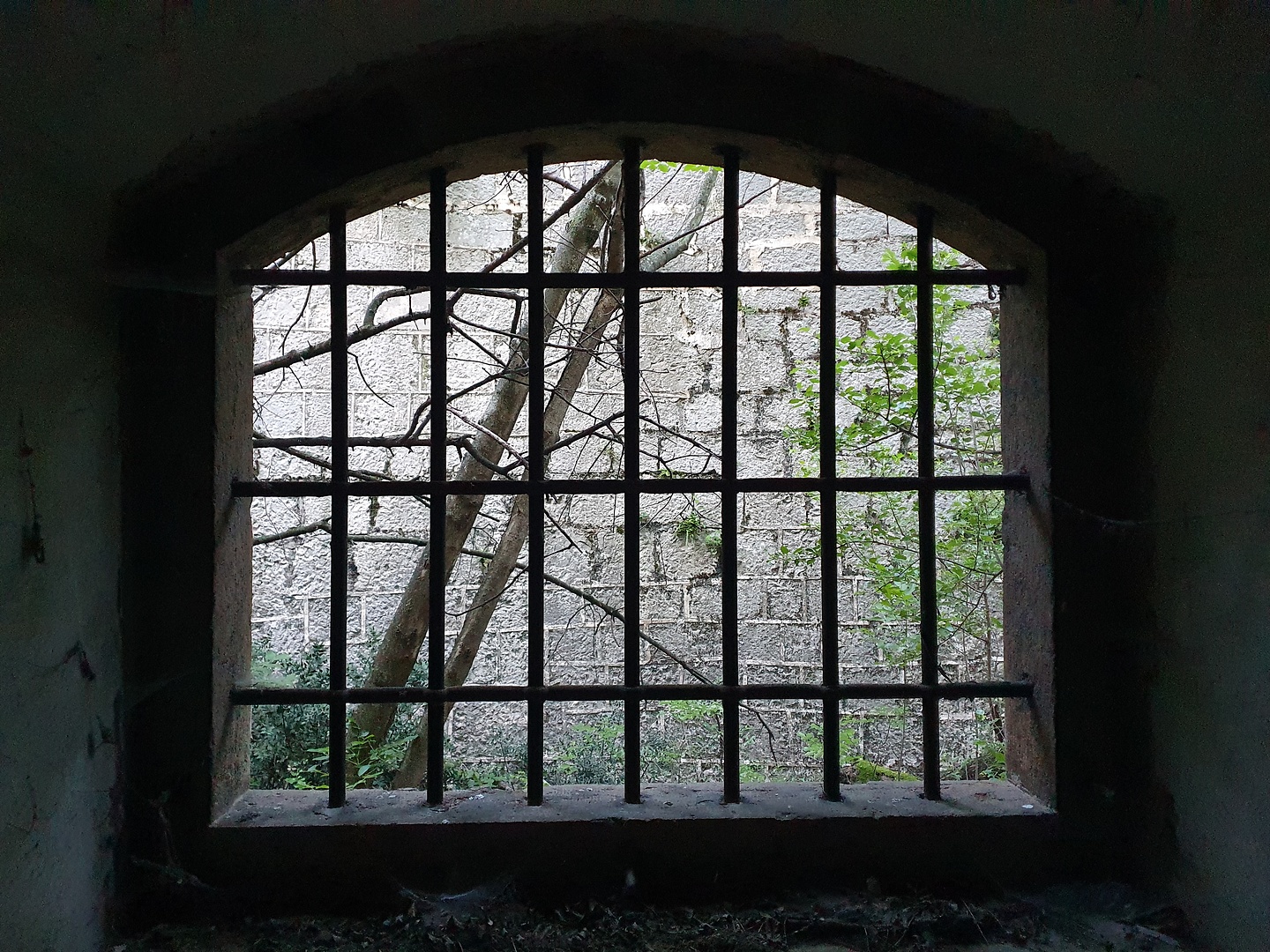 pastello-fort4.jpg