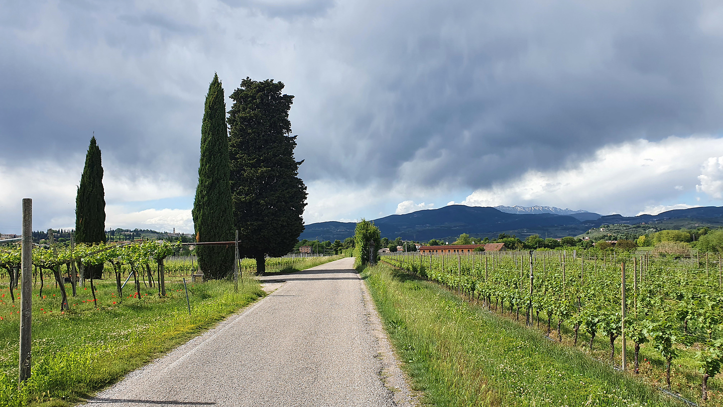 pastello-road1.jpg